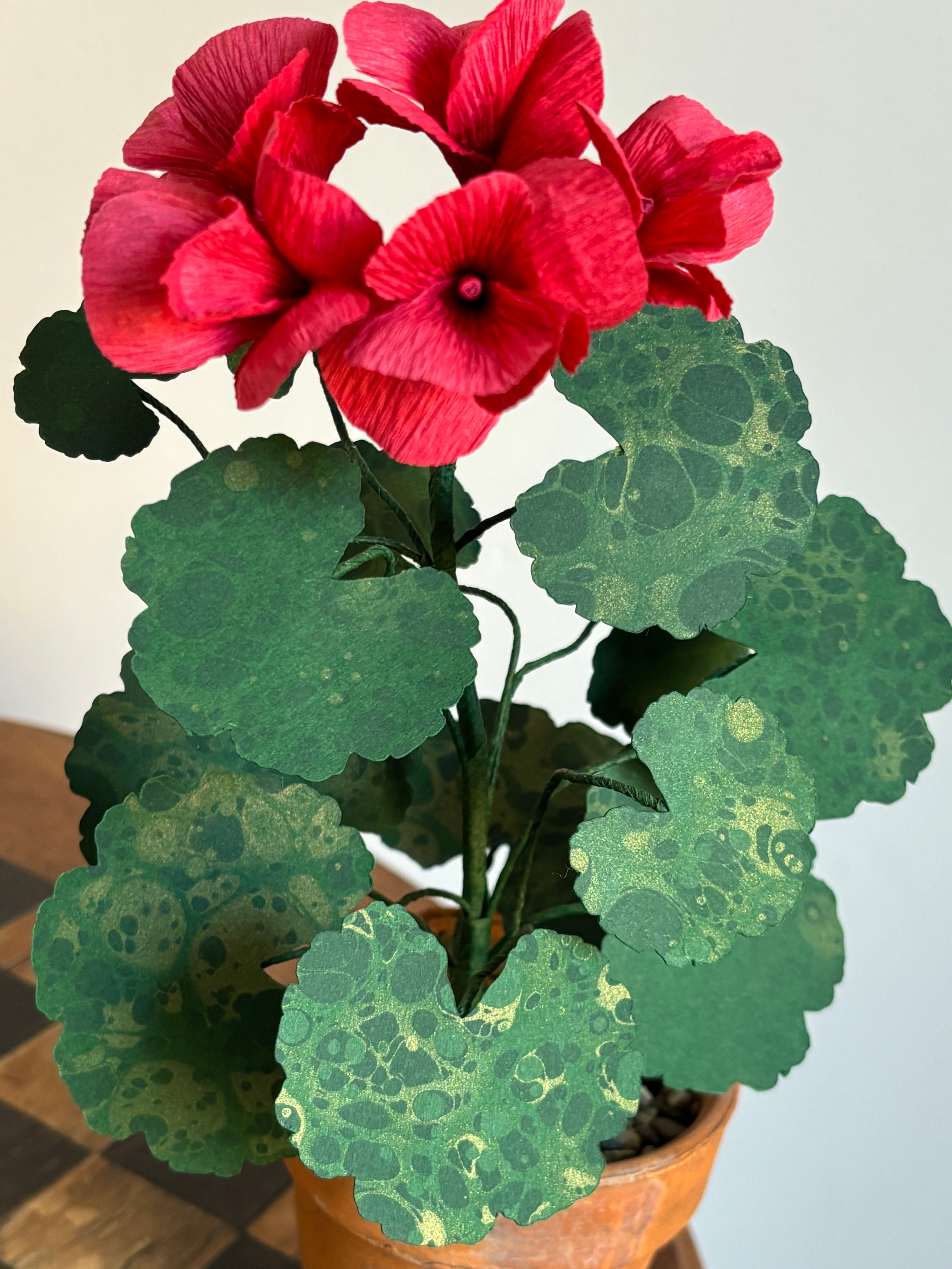 Paper Geranium