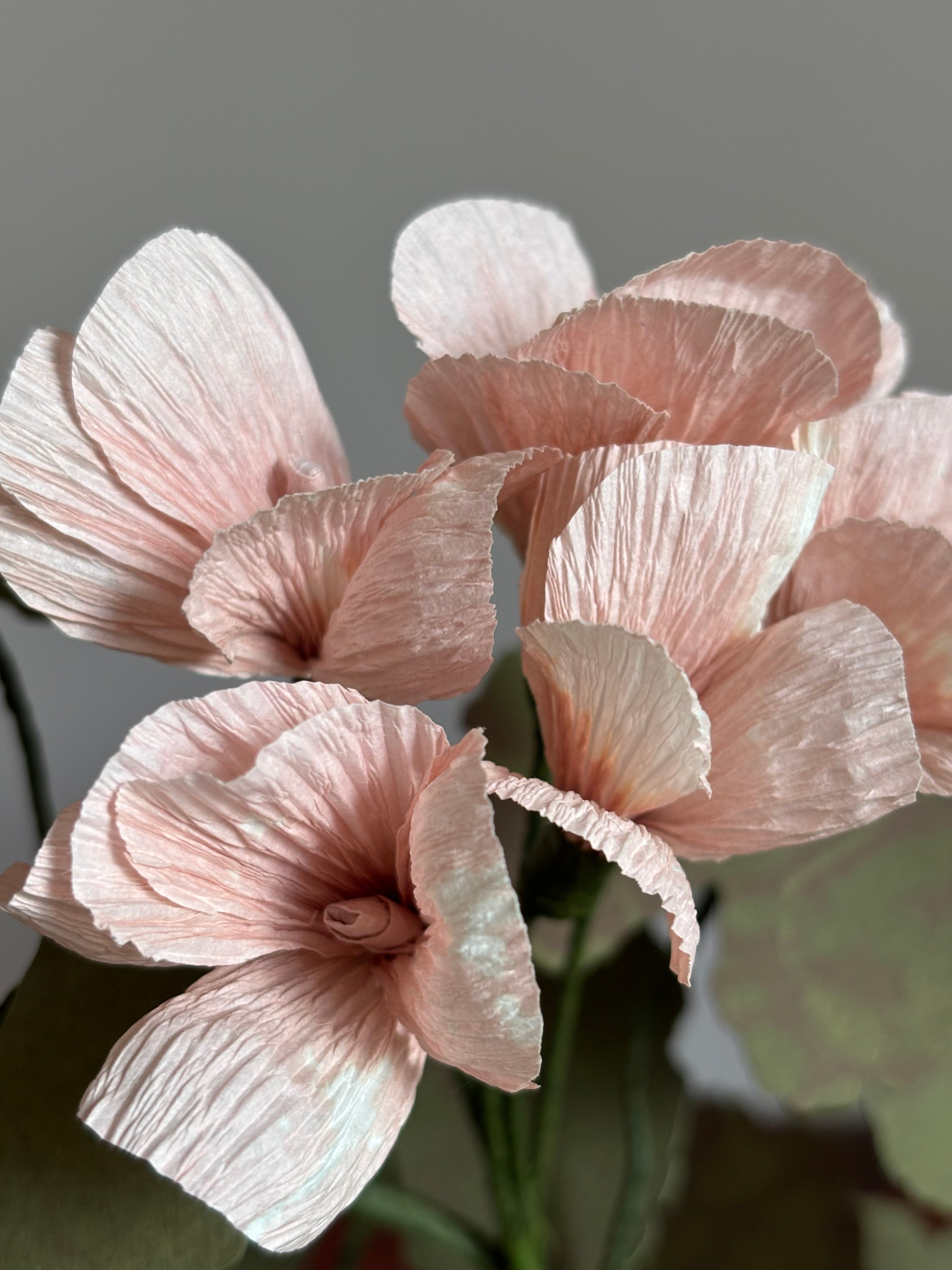 Paper Geranium