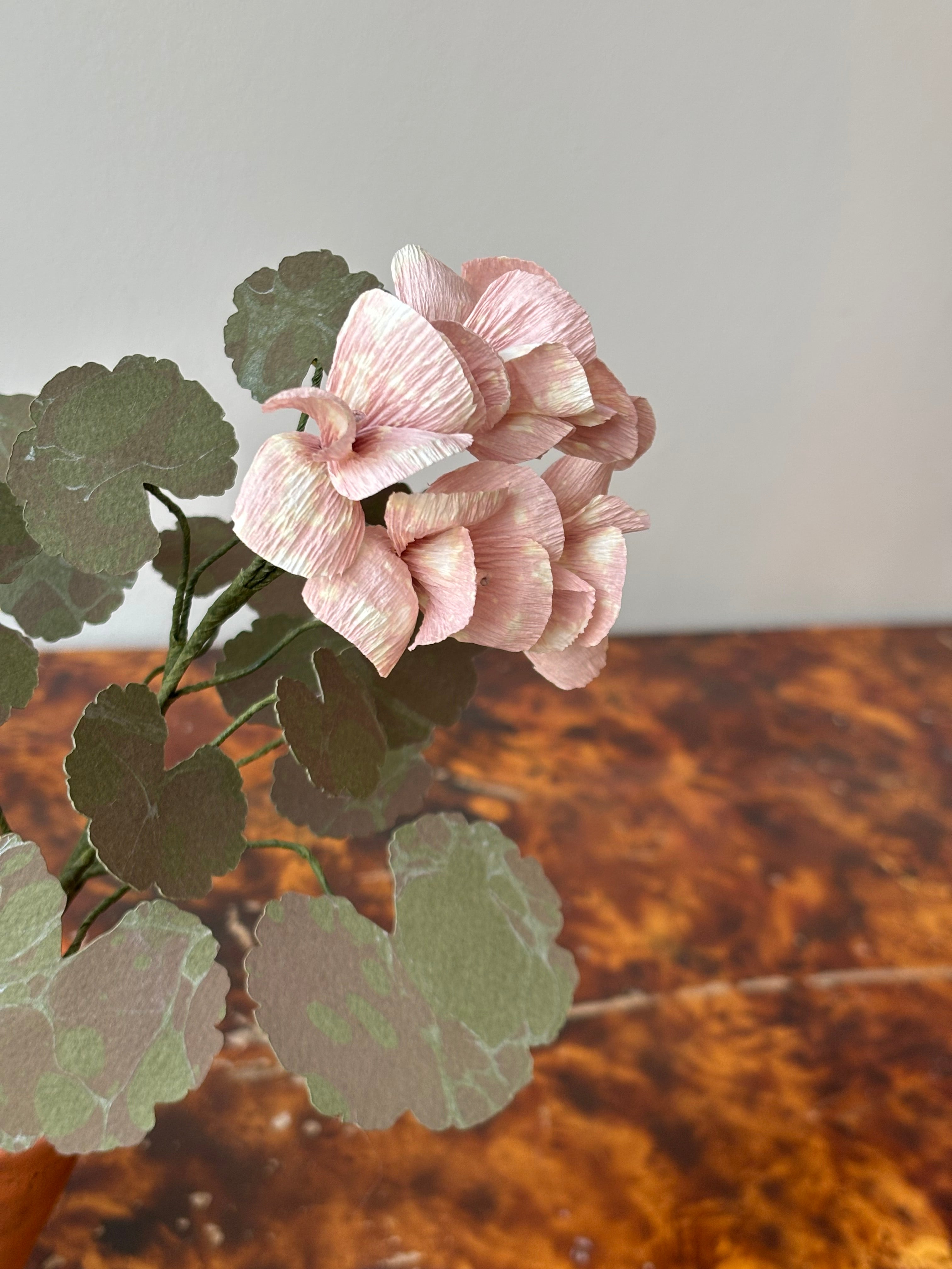 Paper Geranium