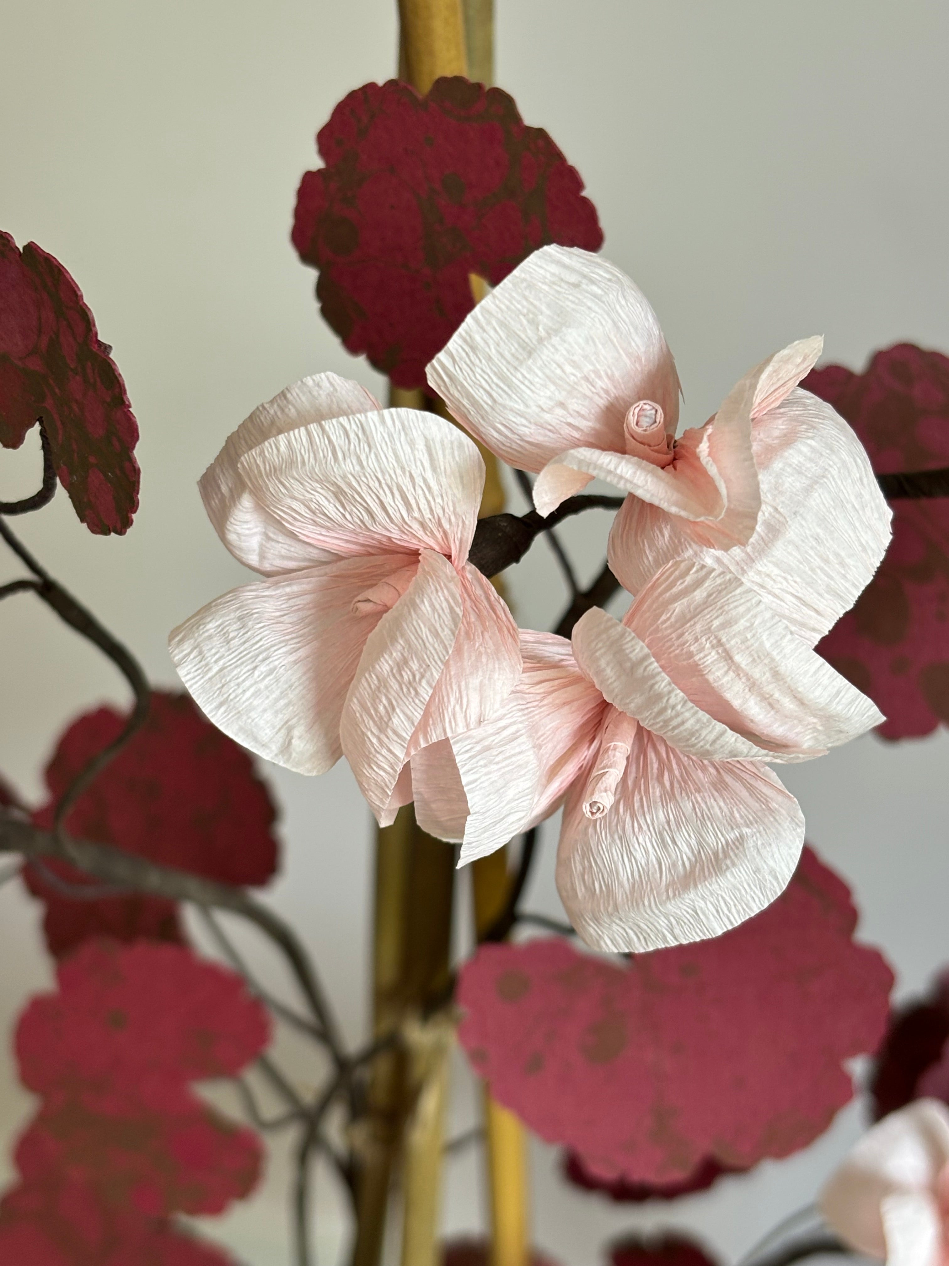 Paper Geranium