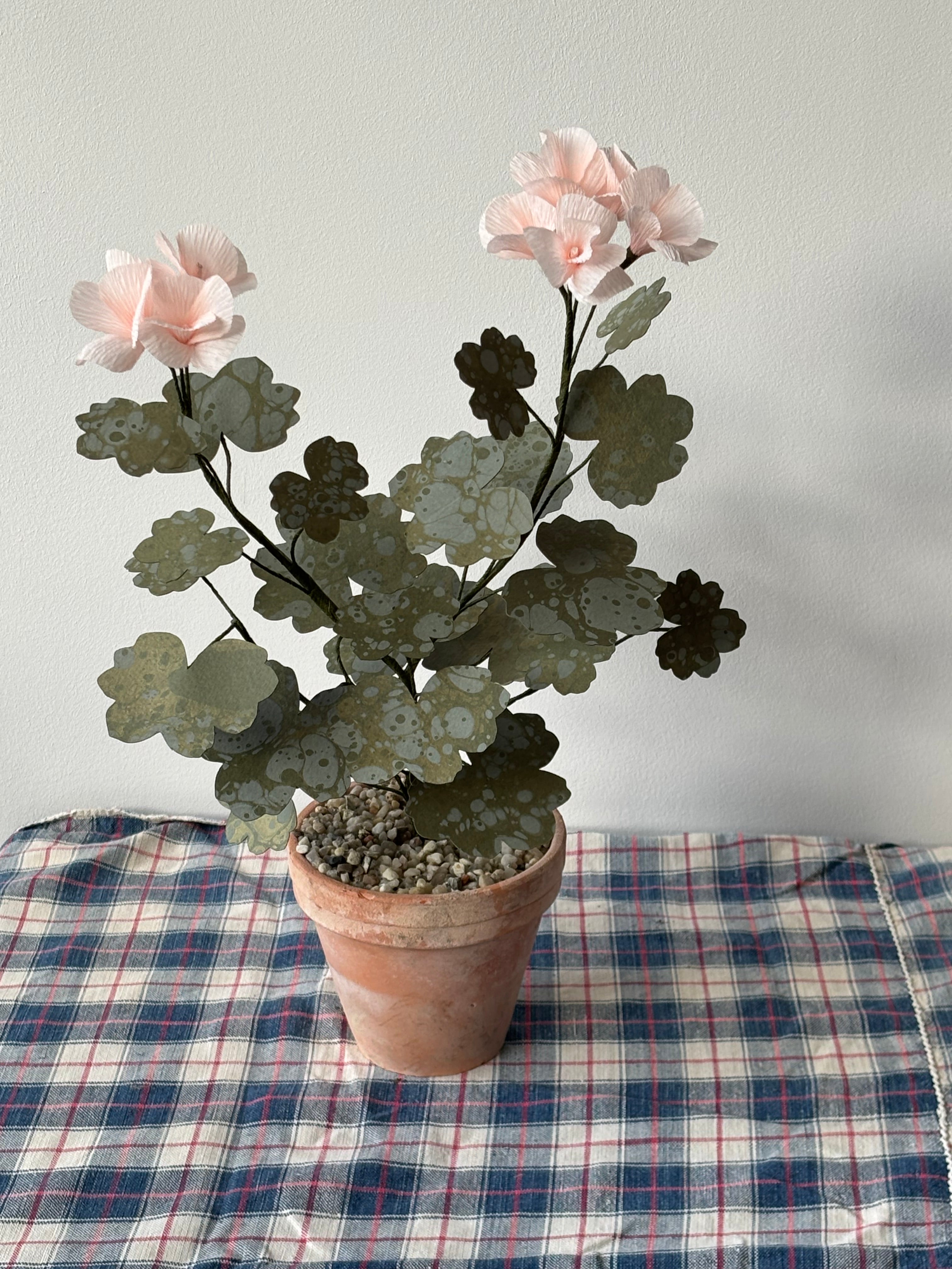 Paper Geranium