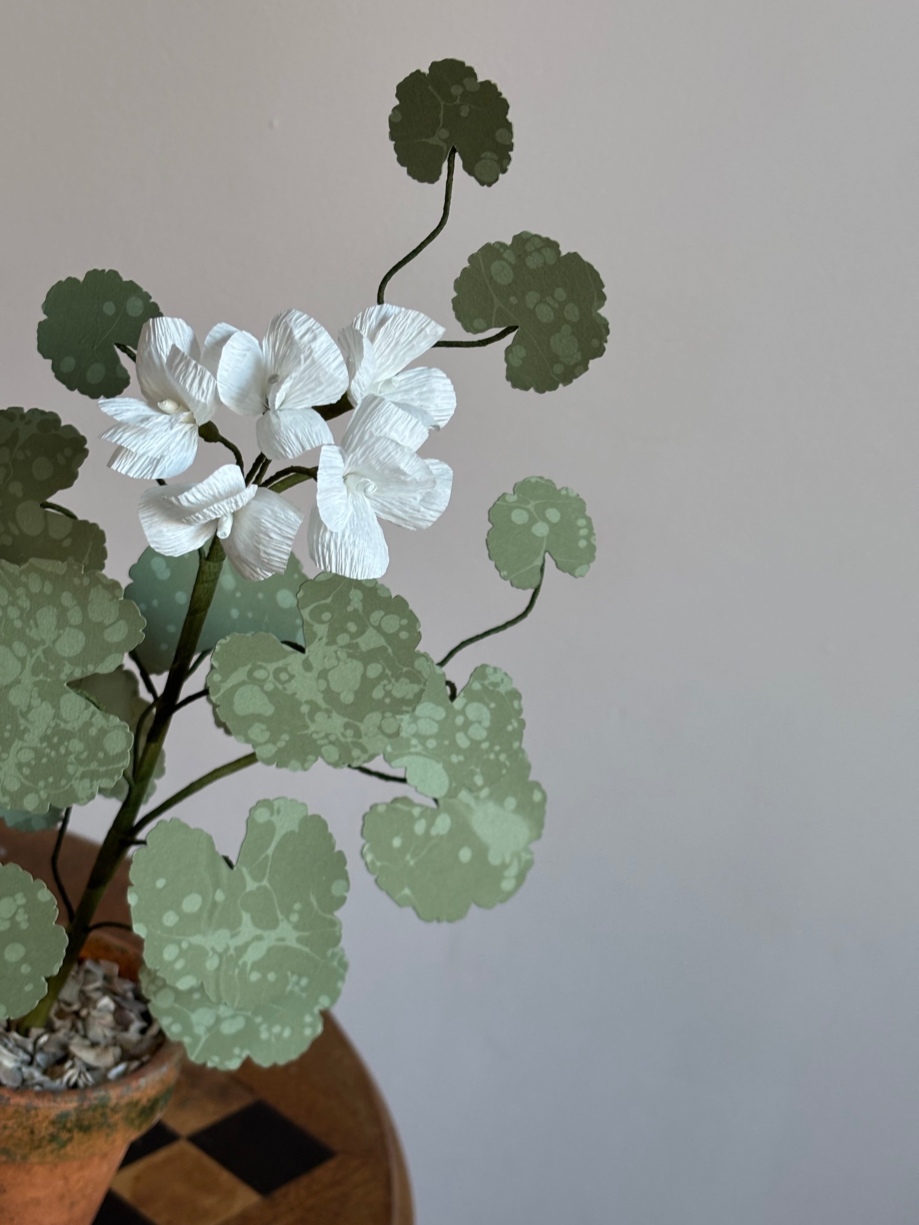 Paper Geranium