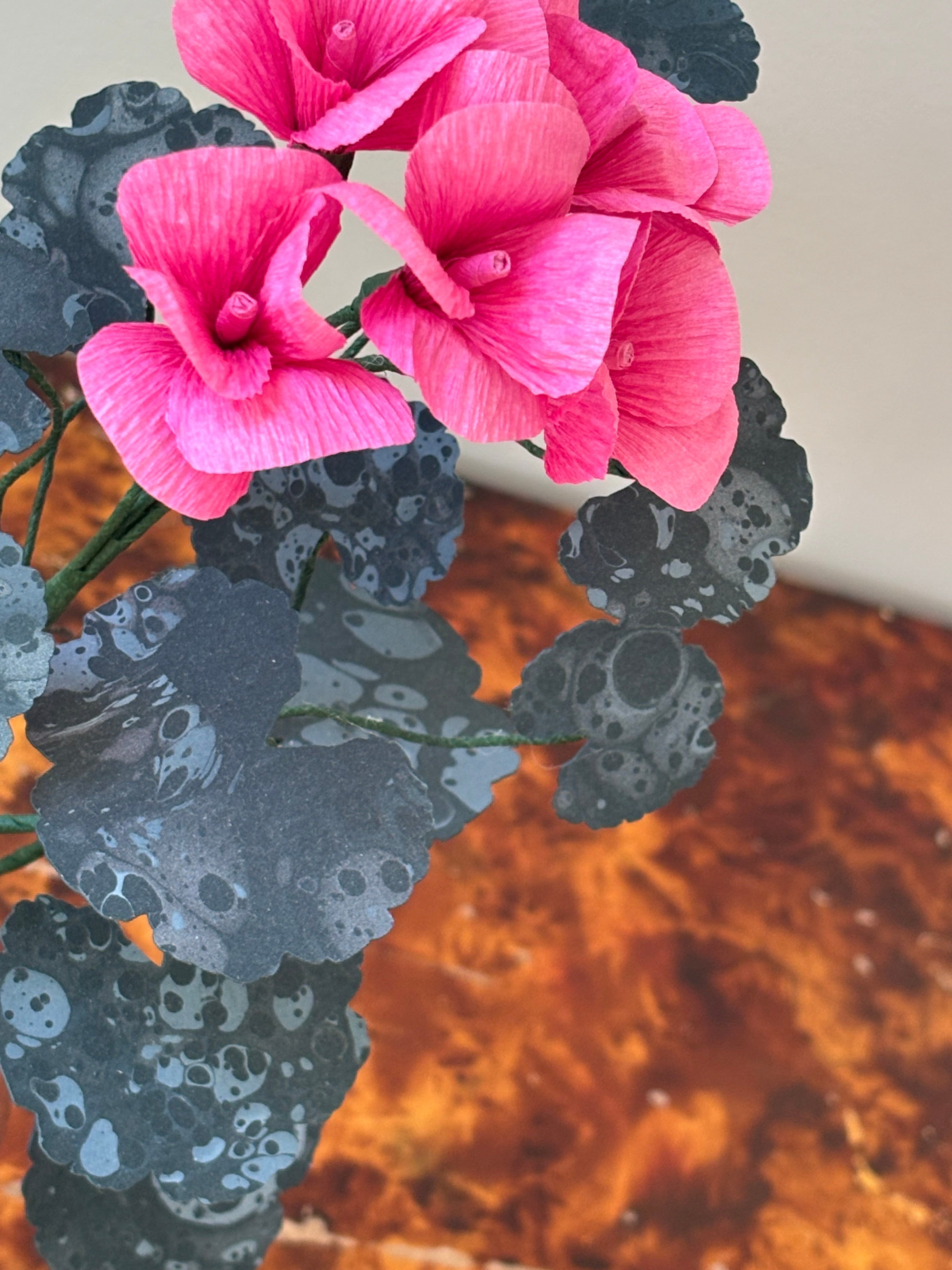 Paper Geranium