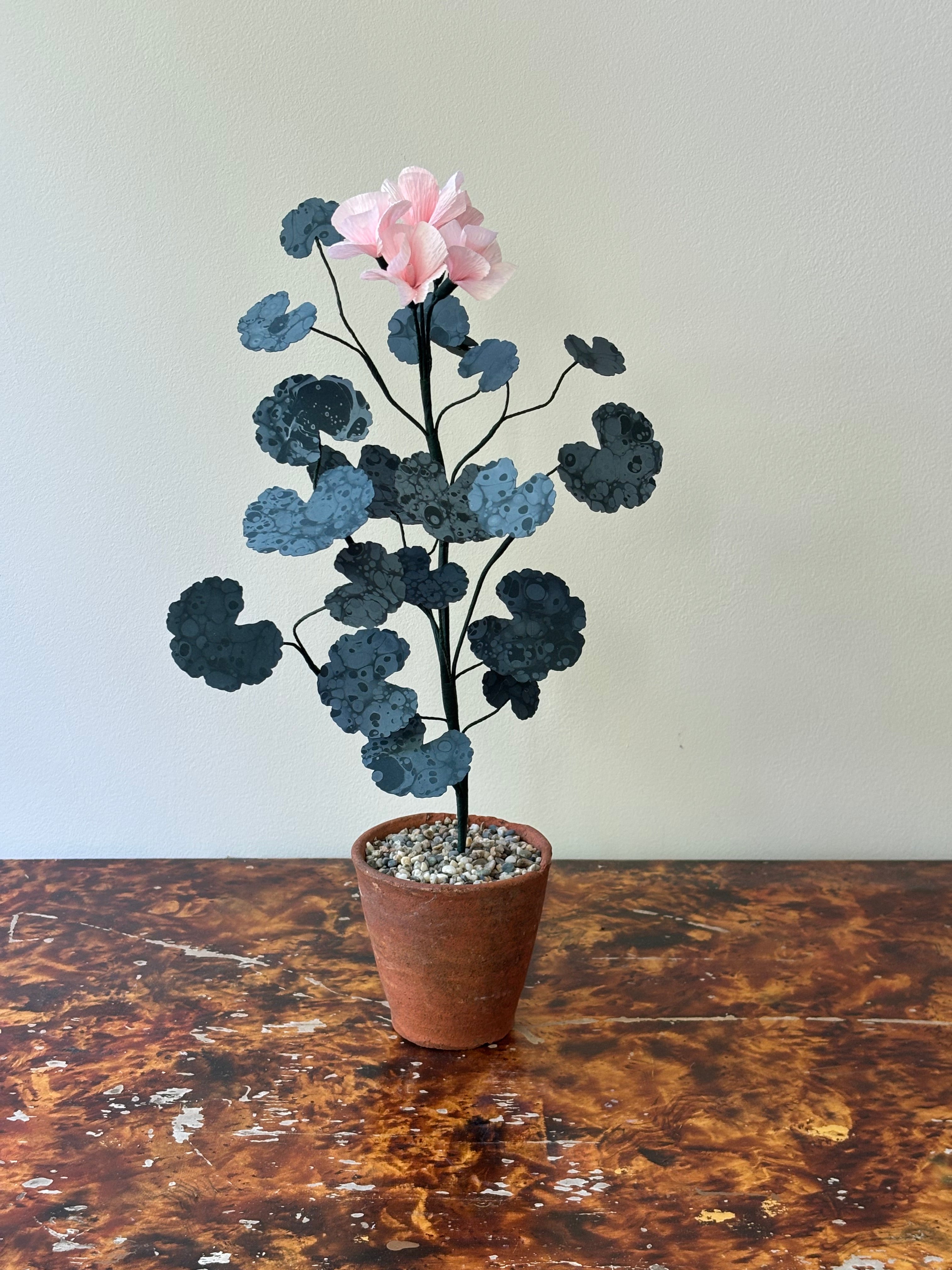 Paper Geranium
