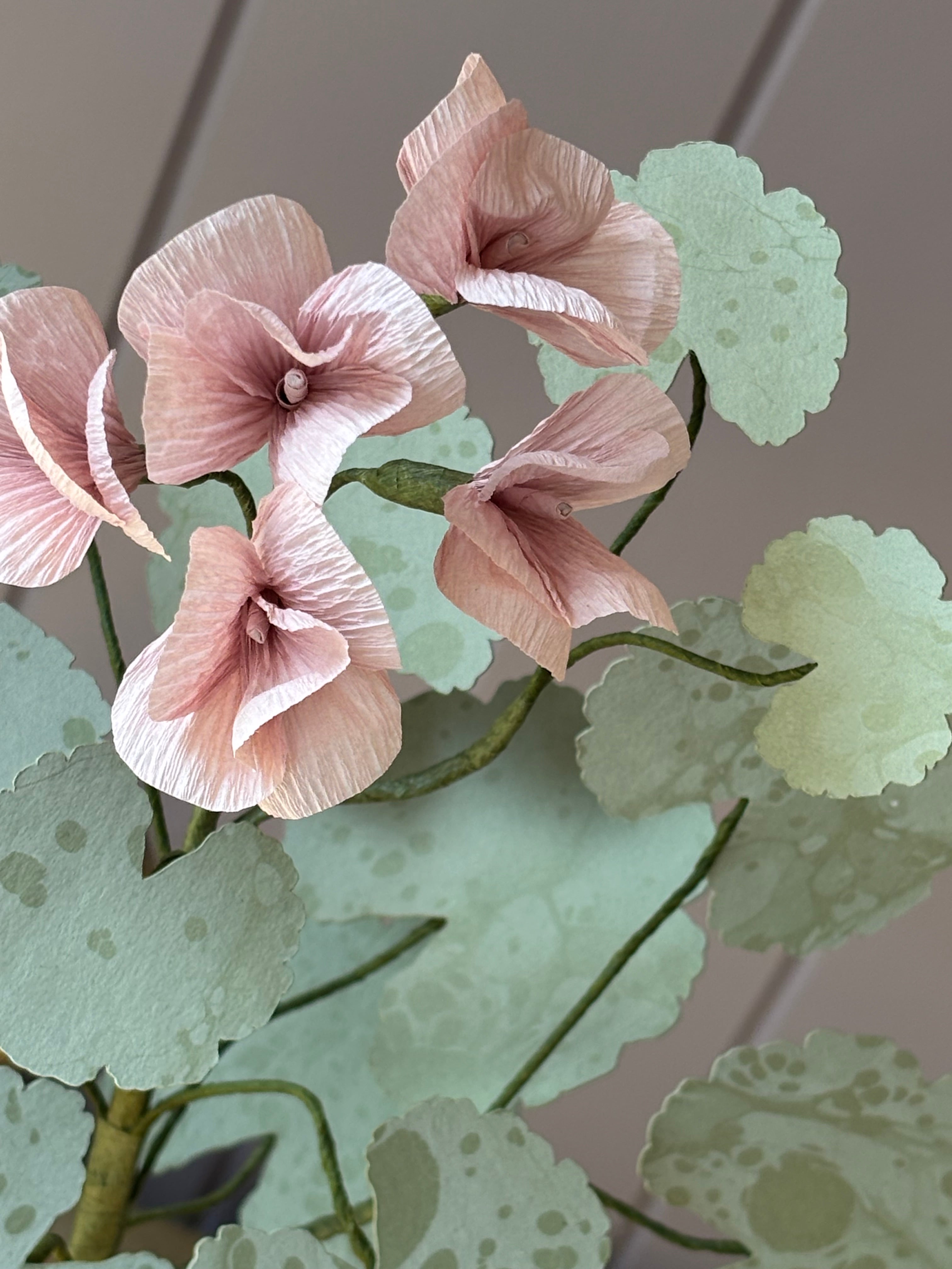 Paper Geranium