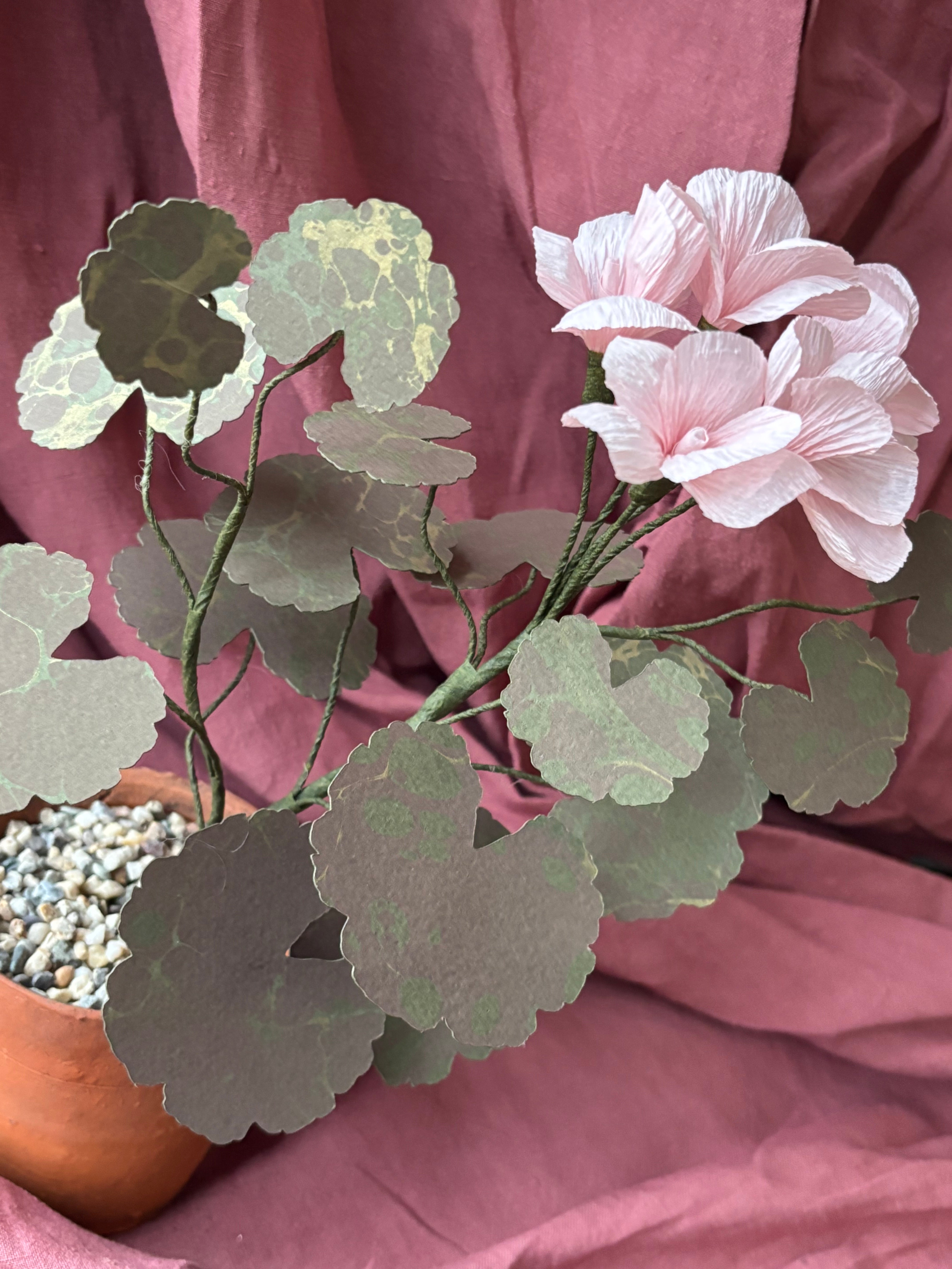 Paper Geranium