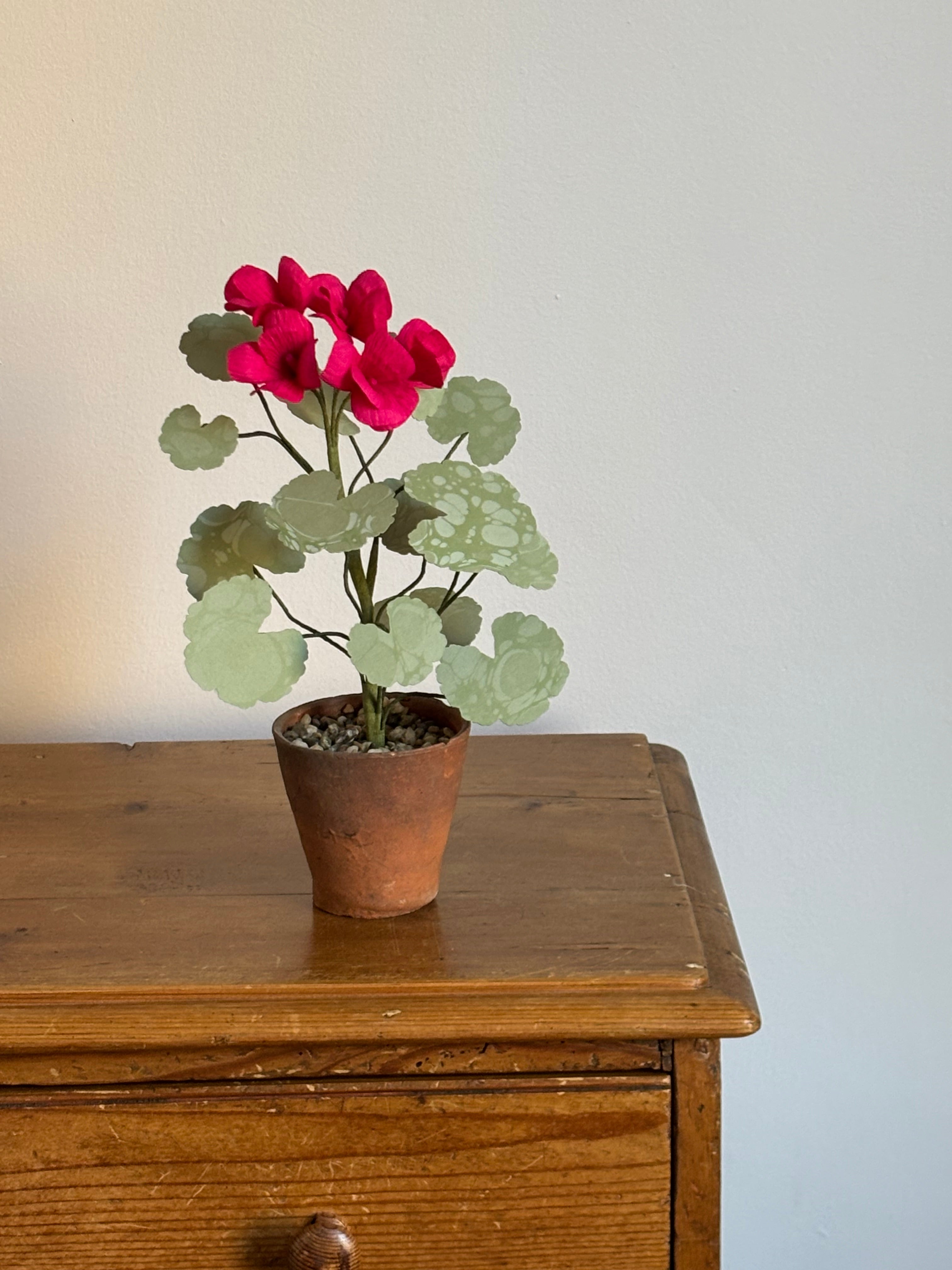 Paper Geranium