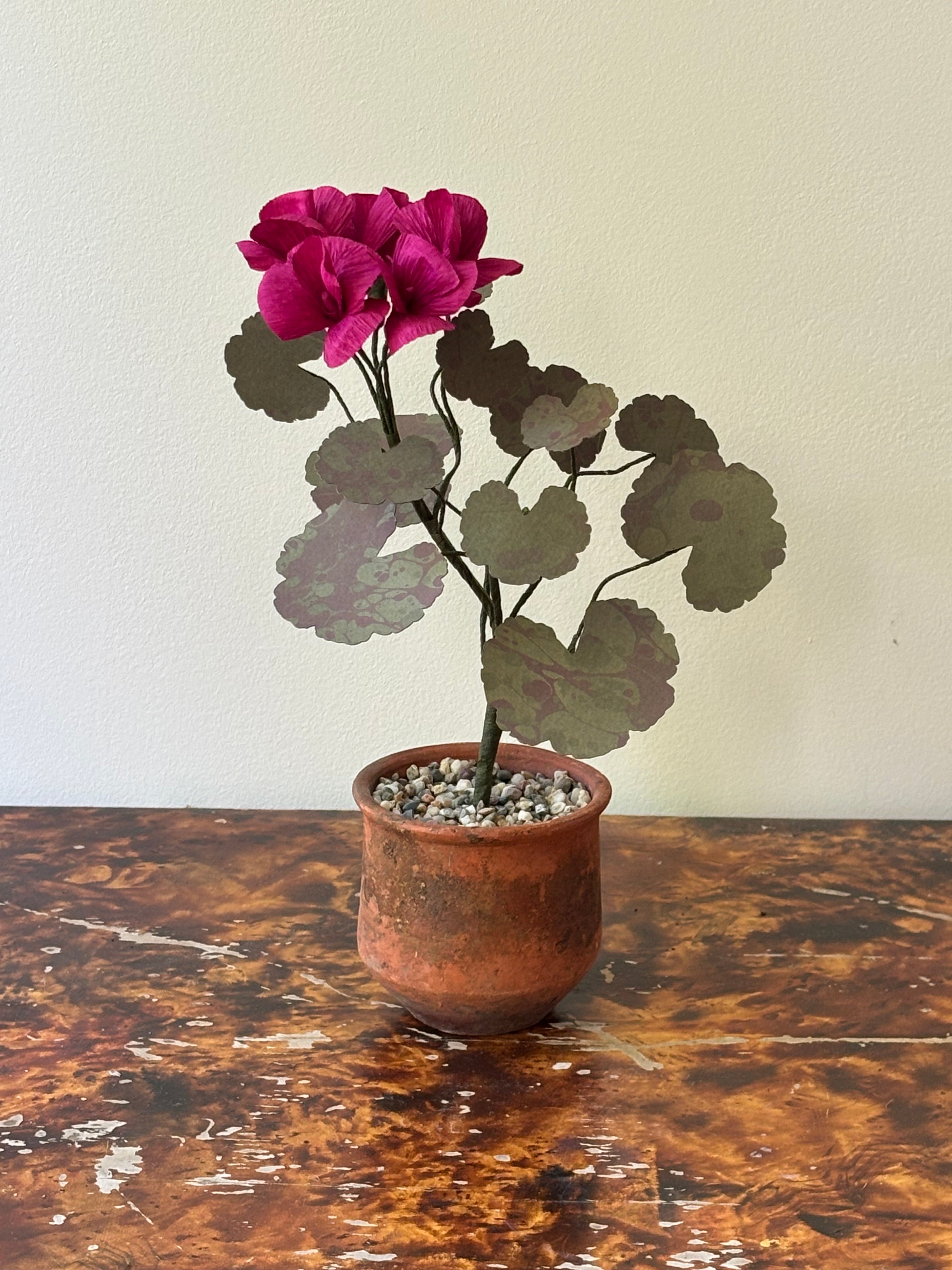 Paper Geranium