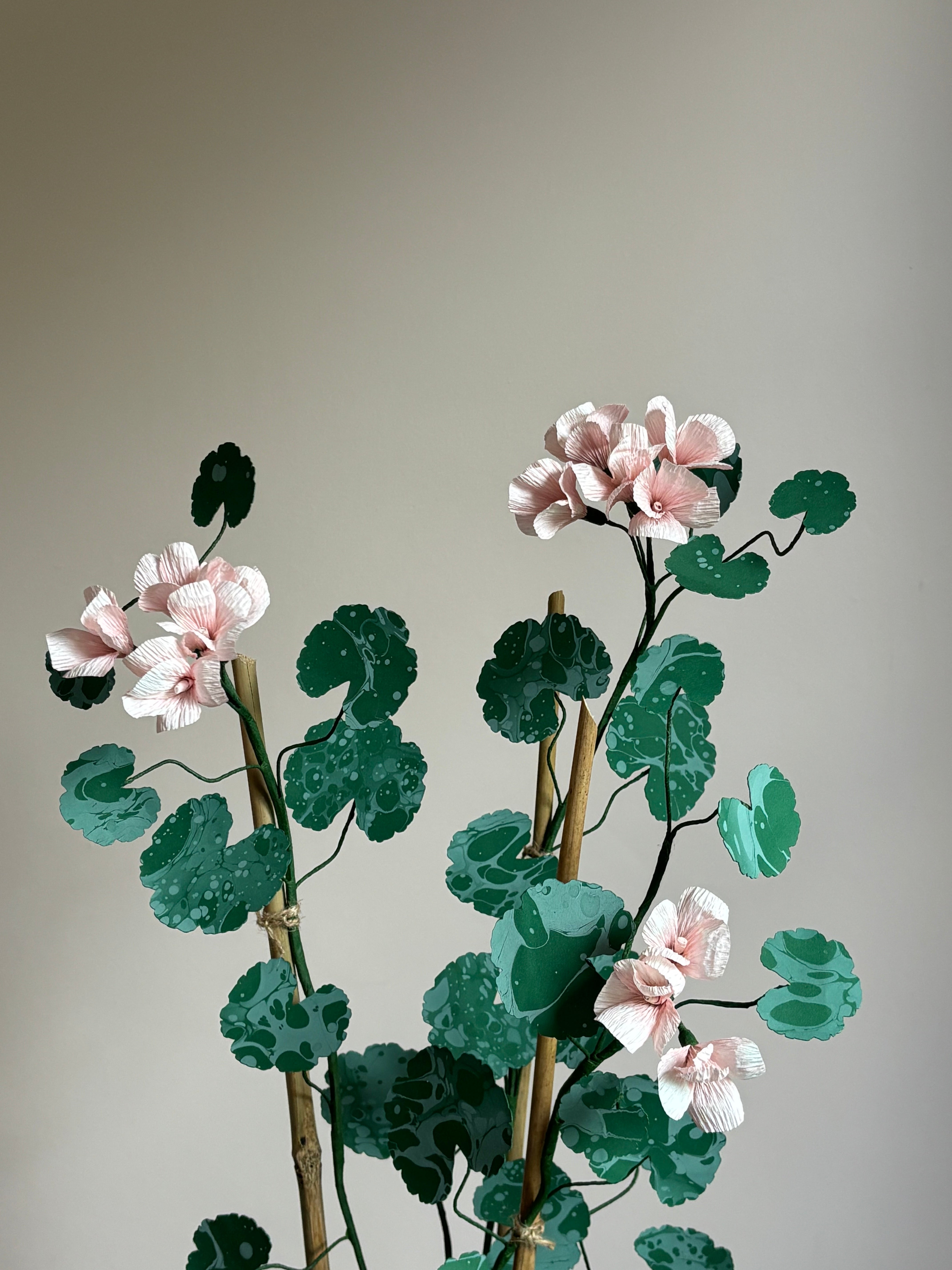 Paper Geranium