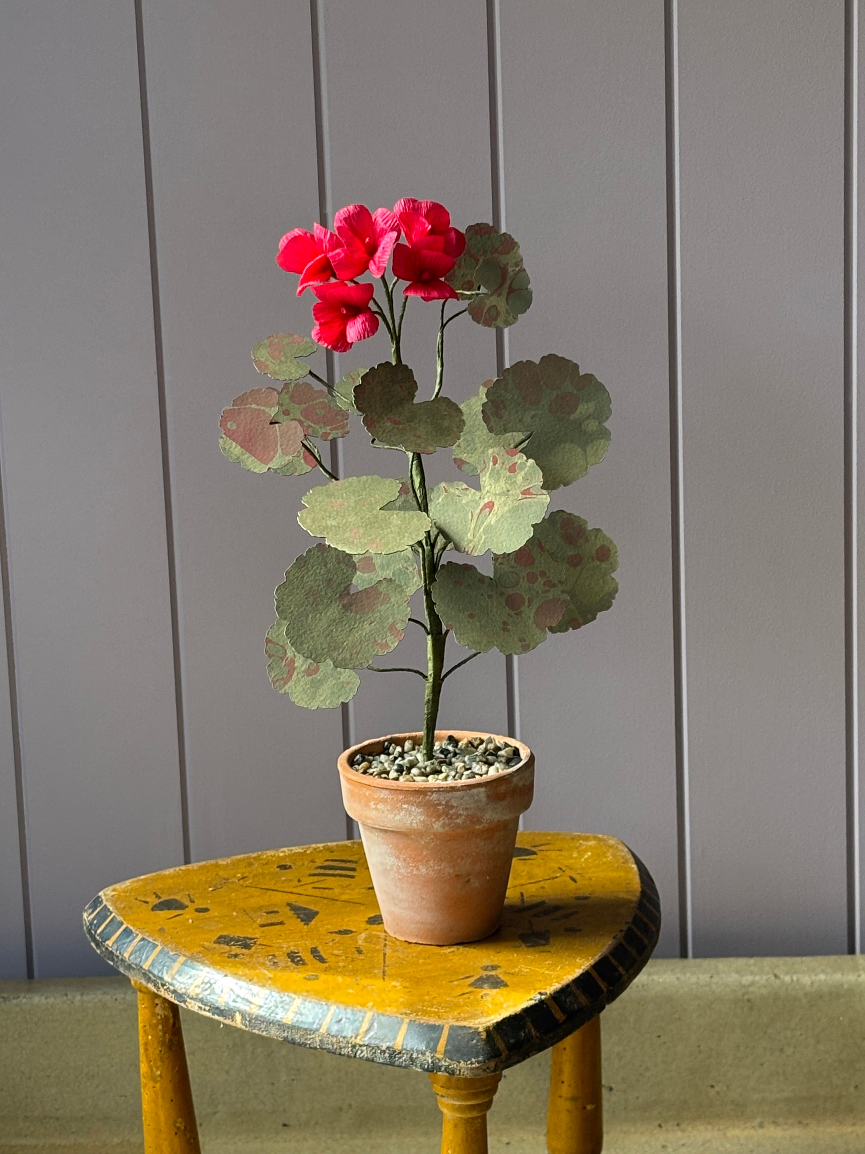 Paper Geranium