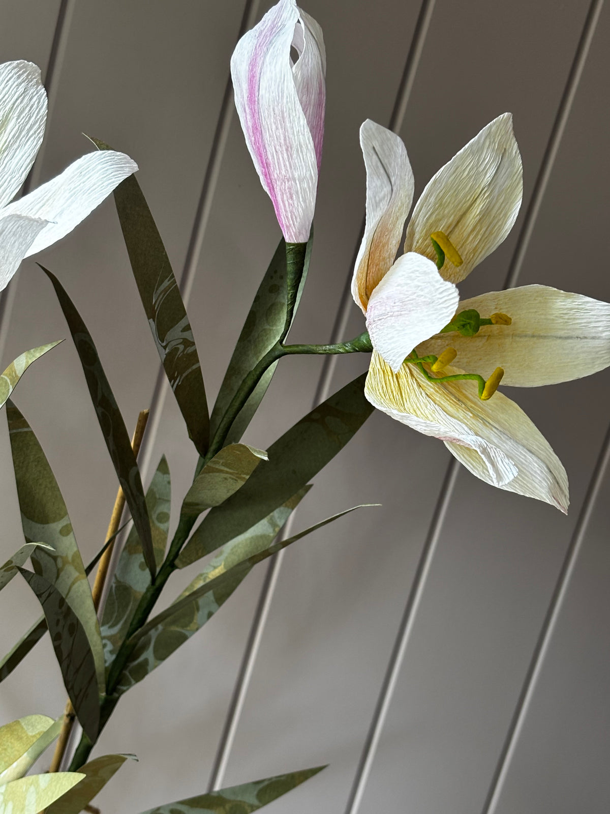 Paper Regale Lilly
