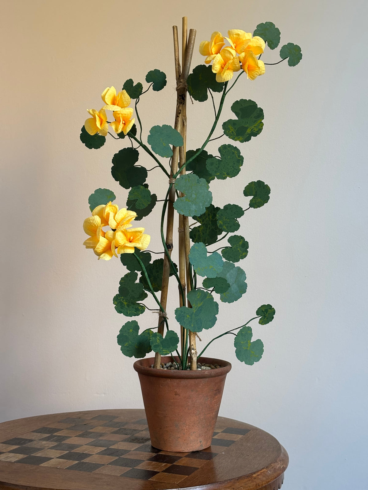 Paper Geranium