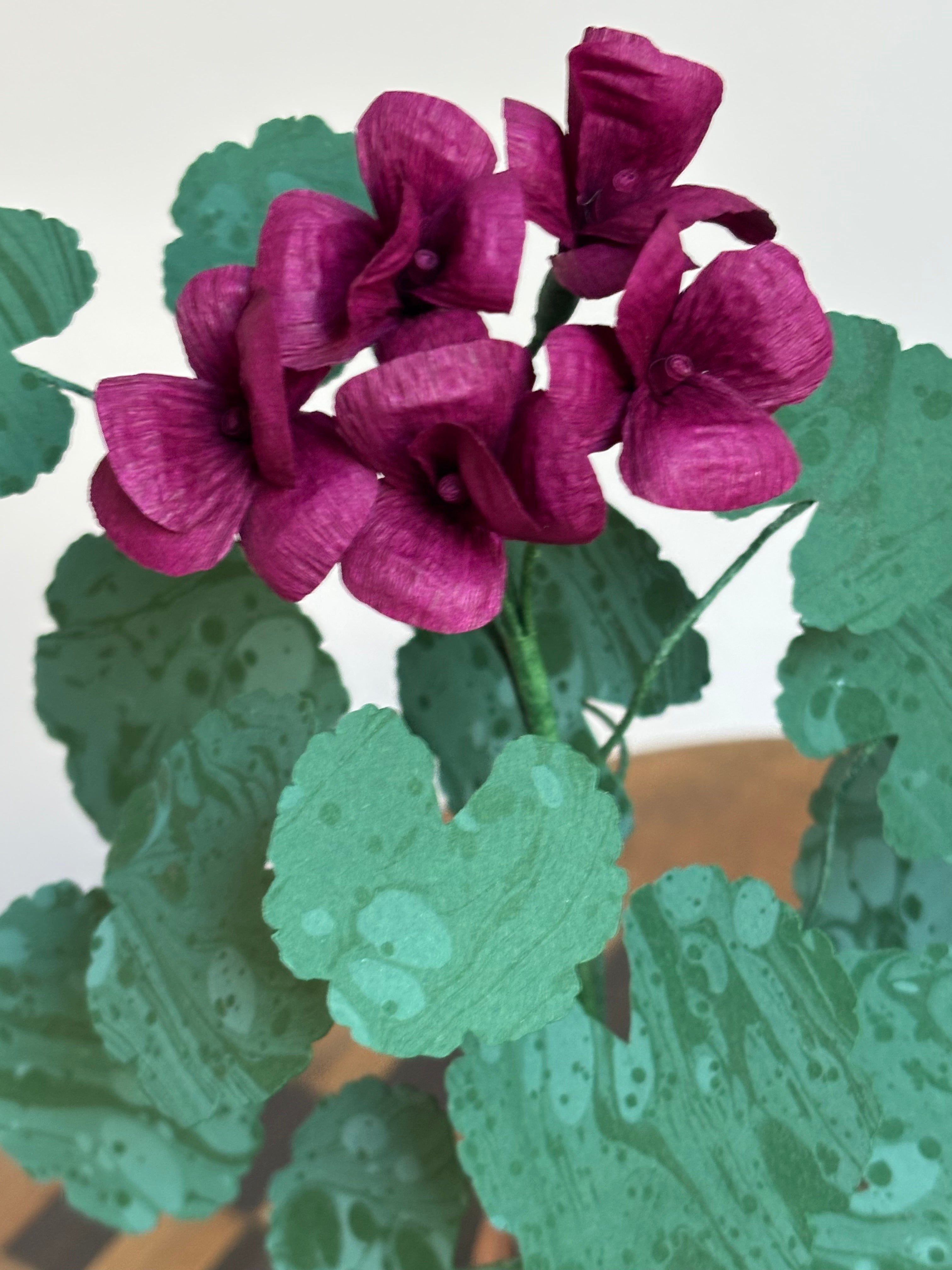 Paper Geranium