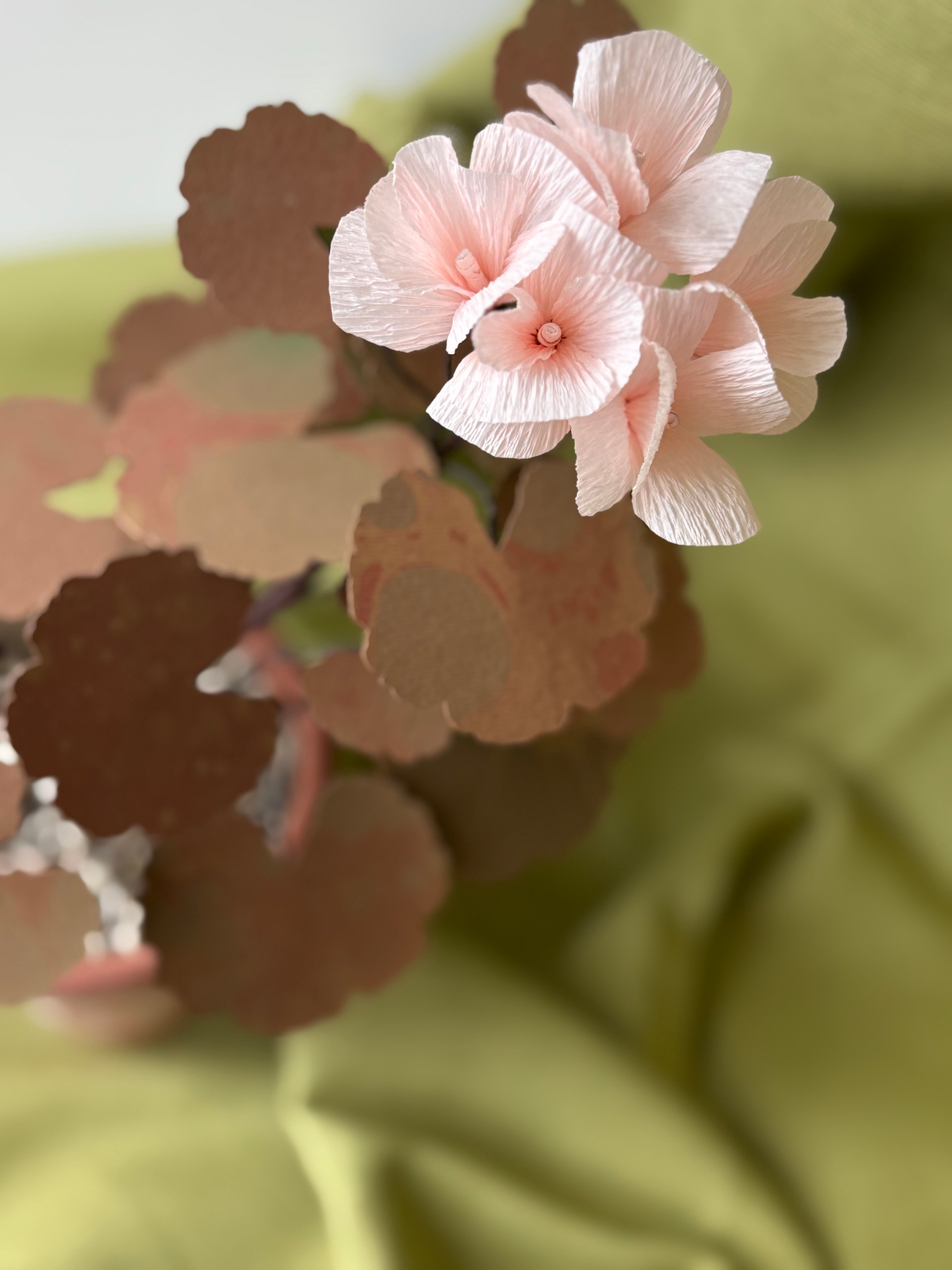 Paper Geranium