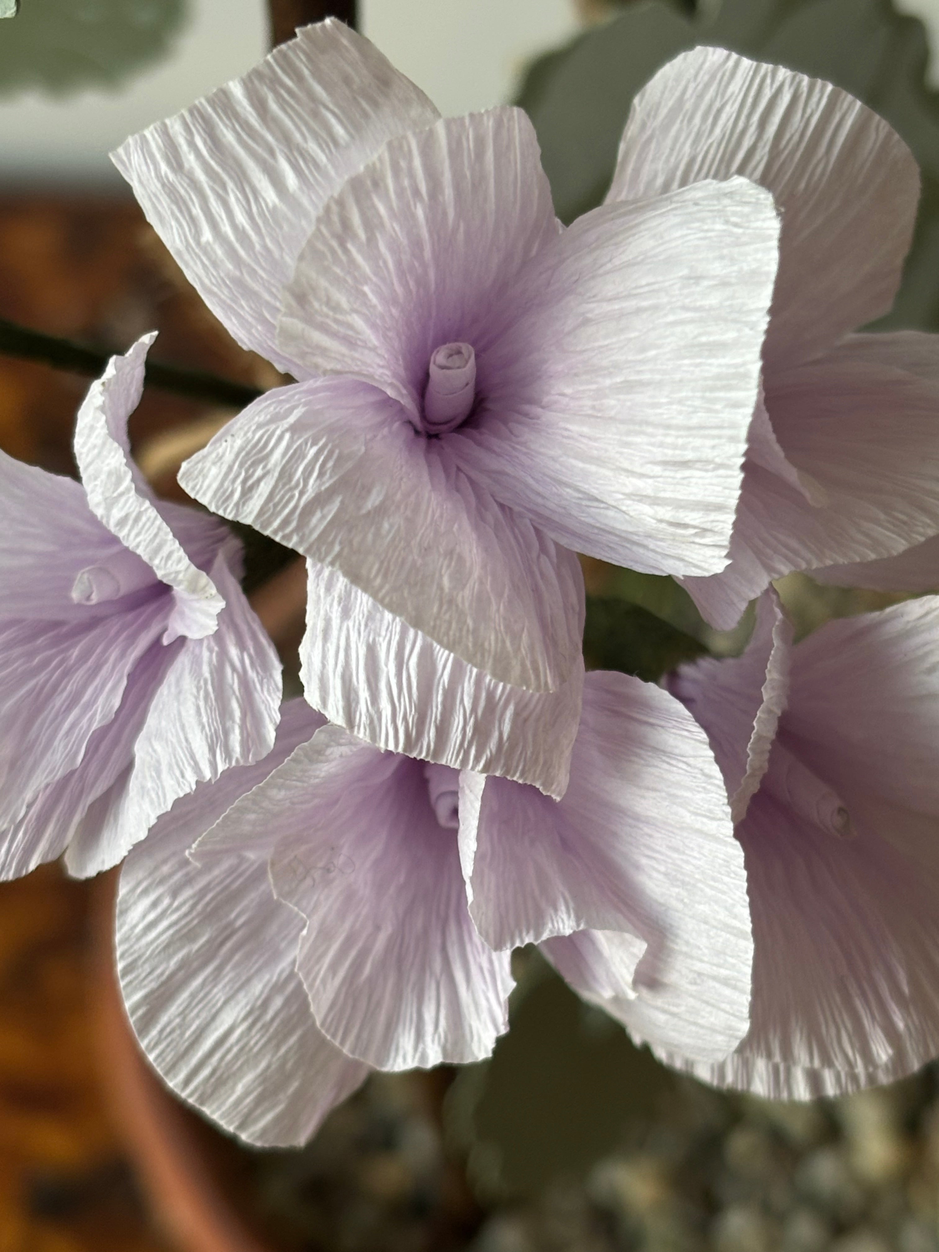 Paper Geranium