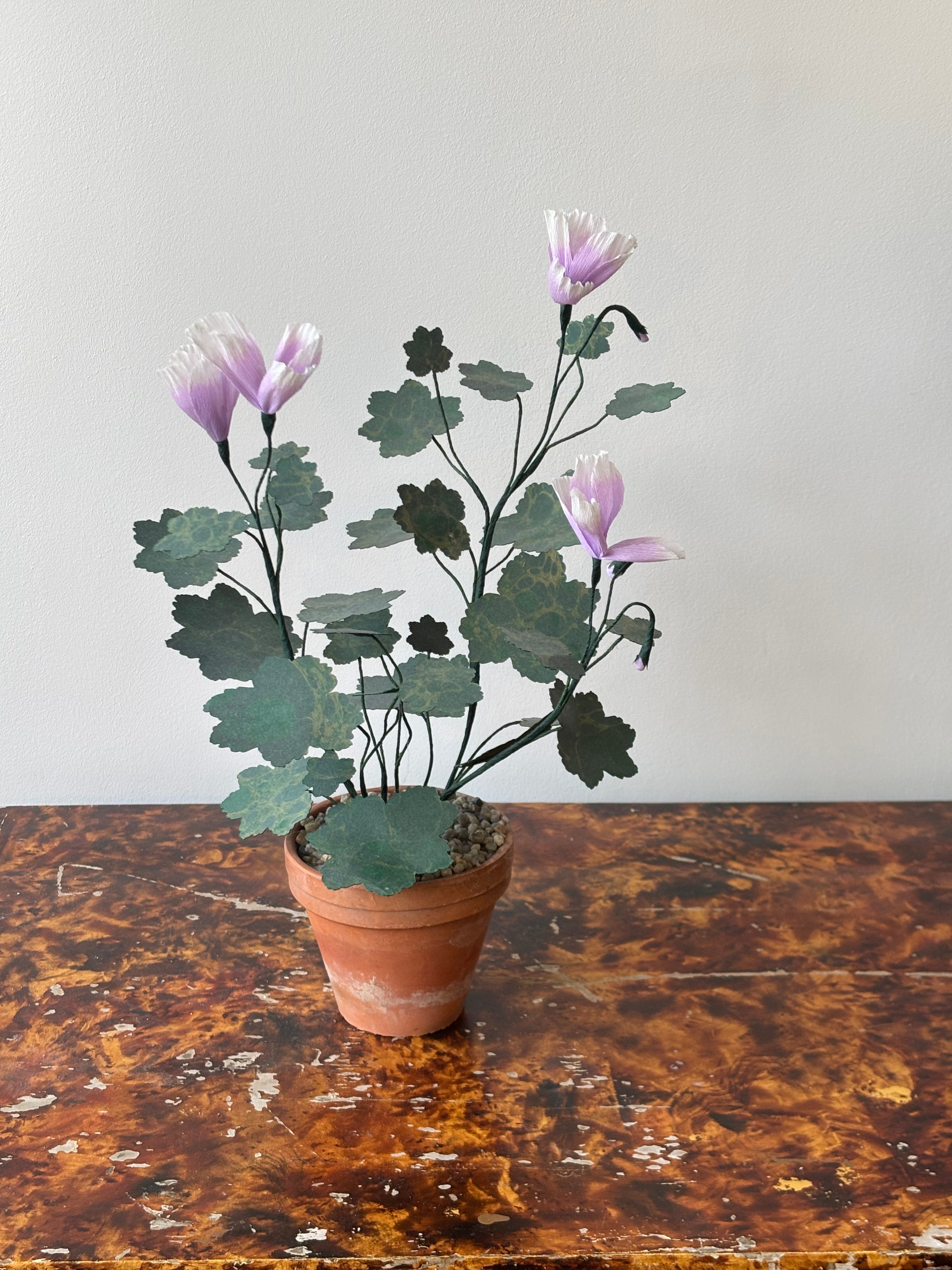 Paper Geranium