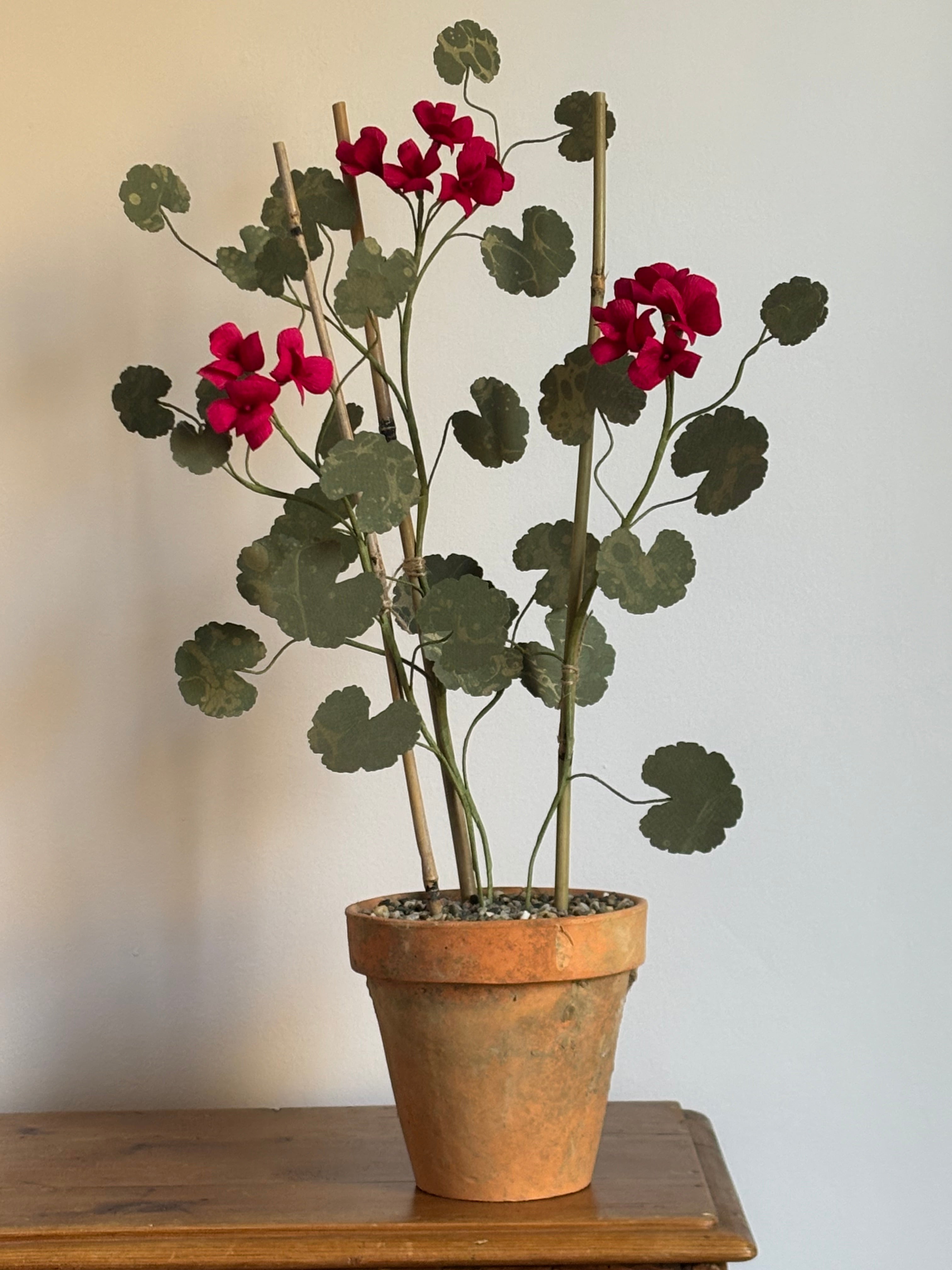 Paper Geranium