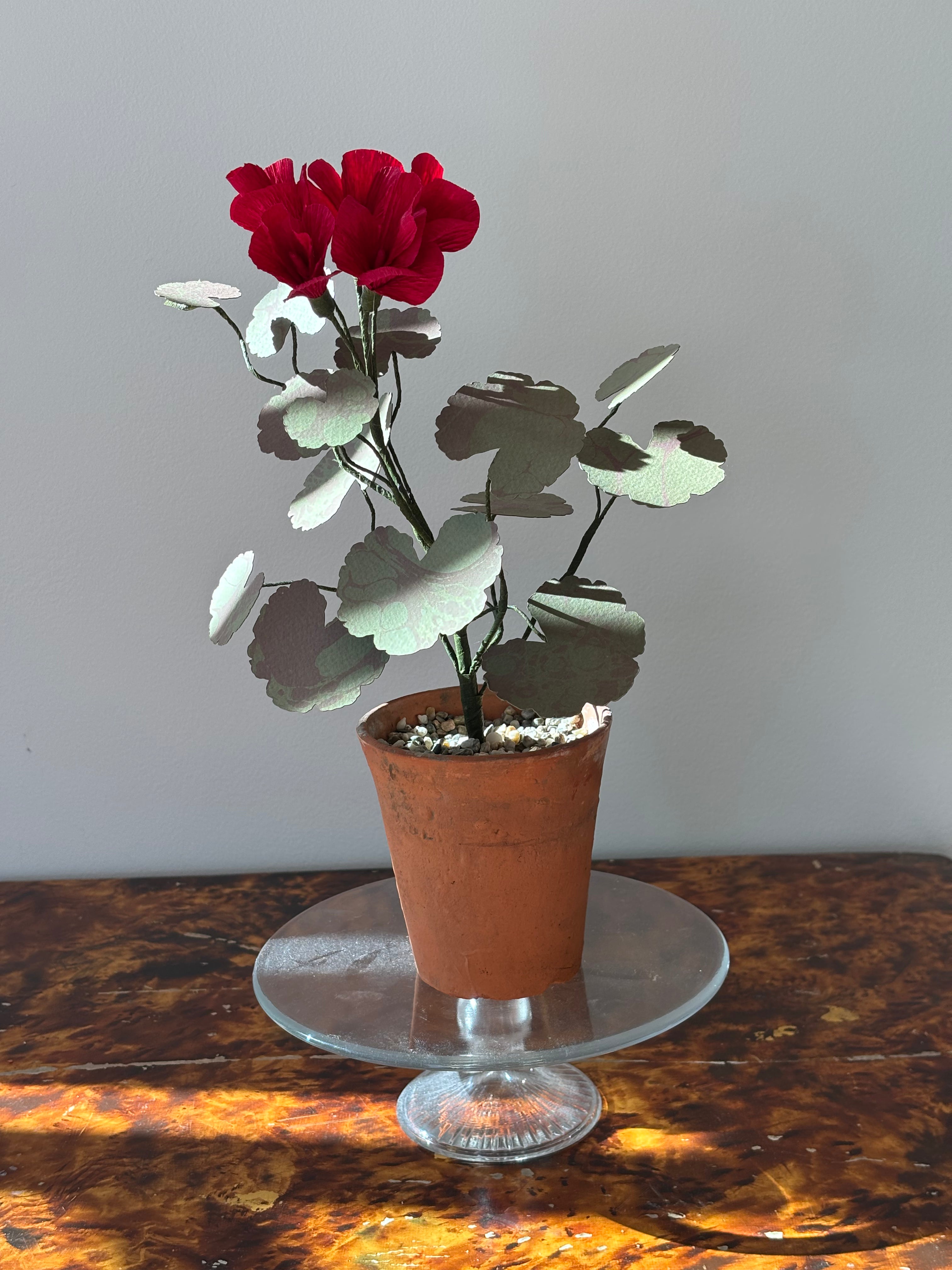 Paper Geranium