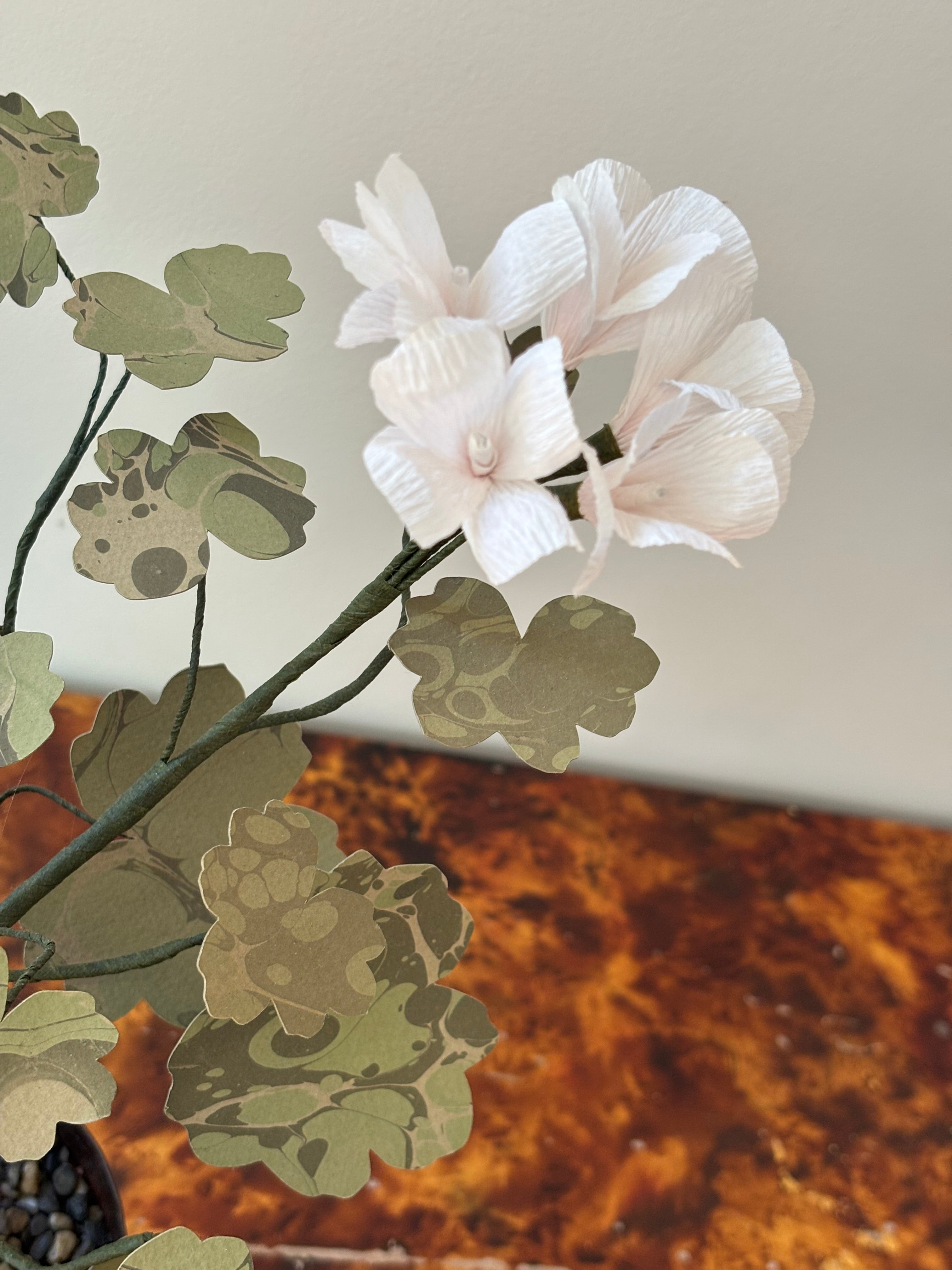 Paper Geranium