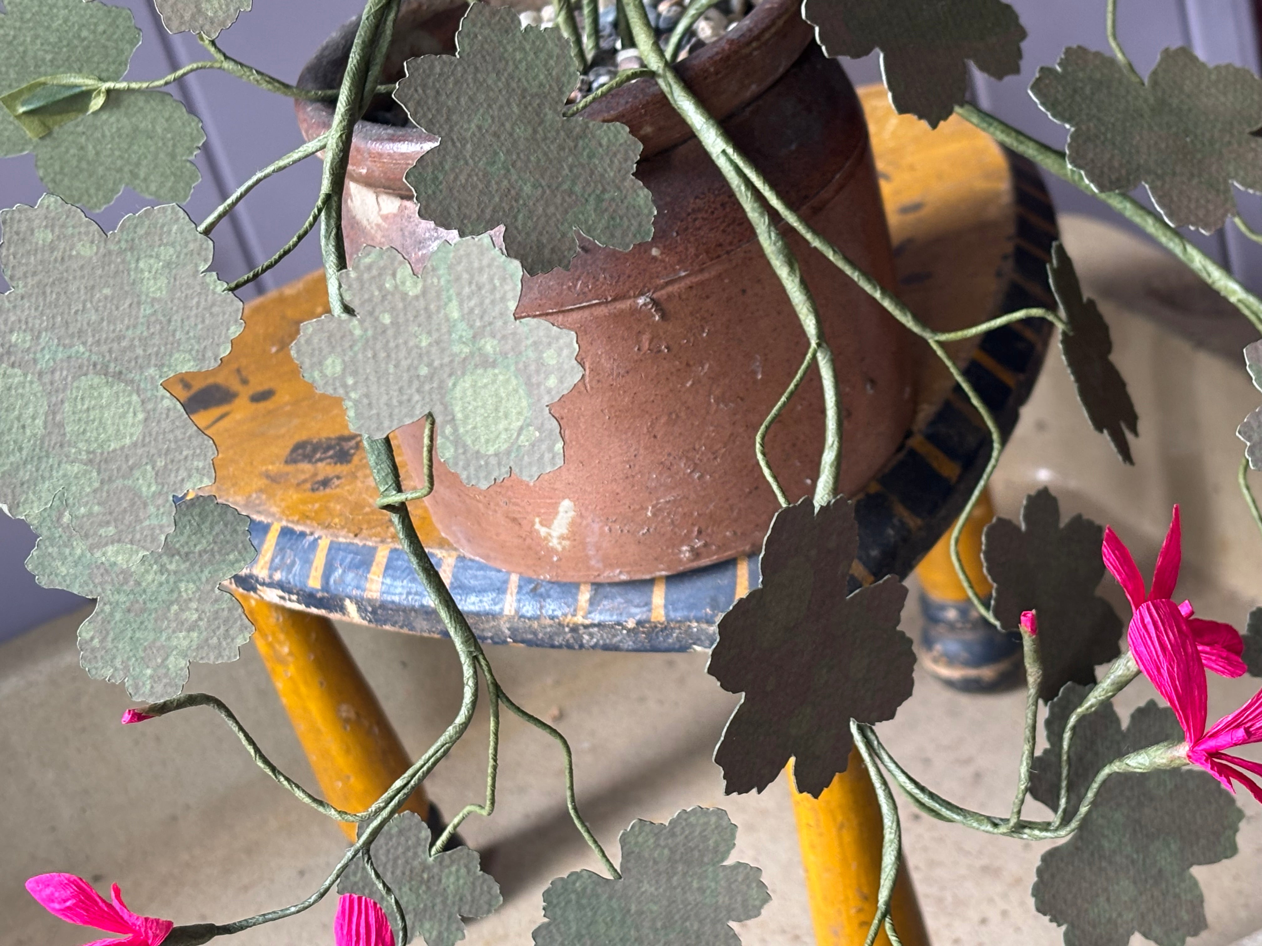 Paper geranium
