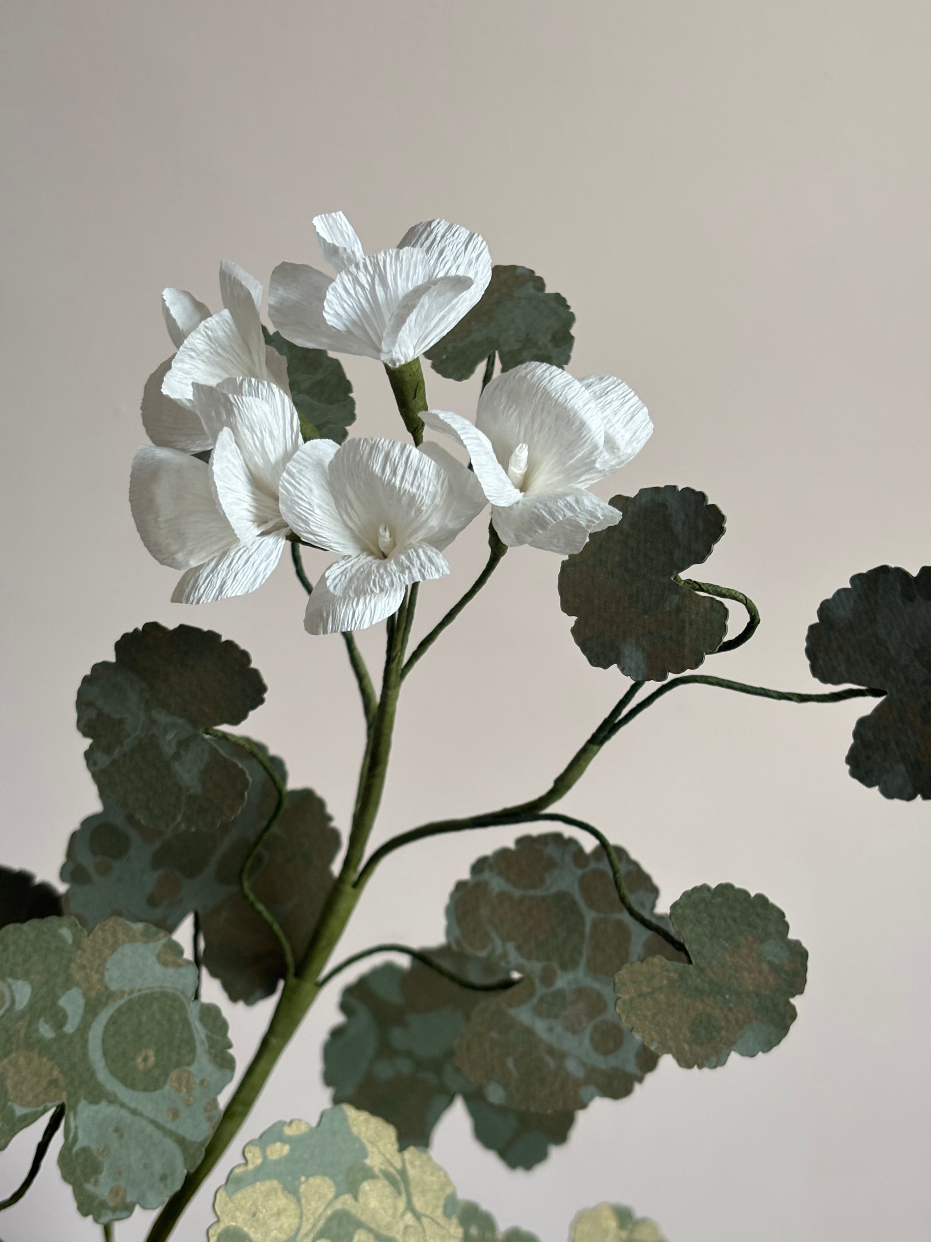 Paper Geranium