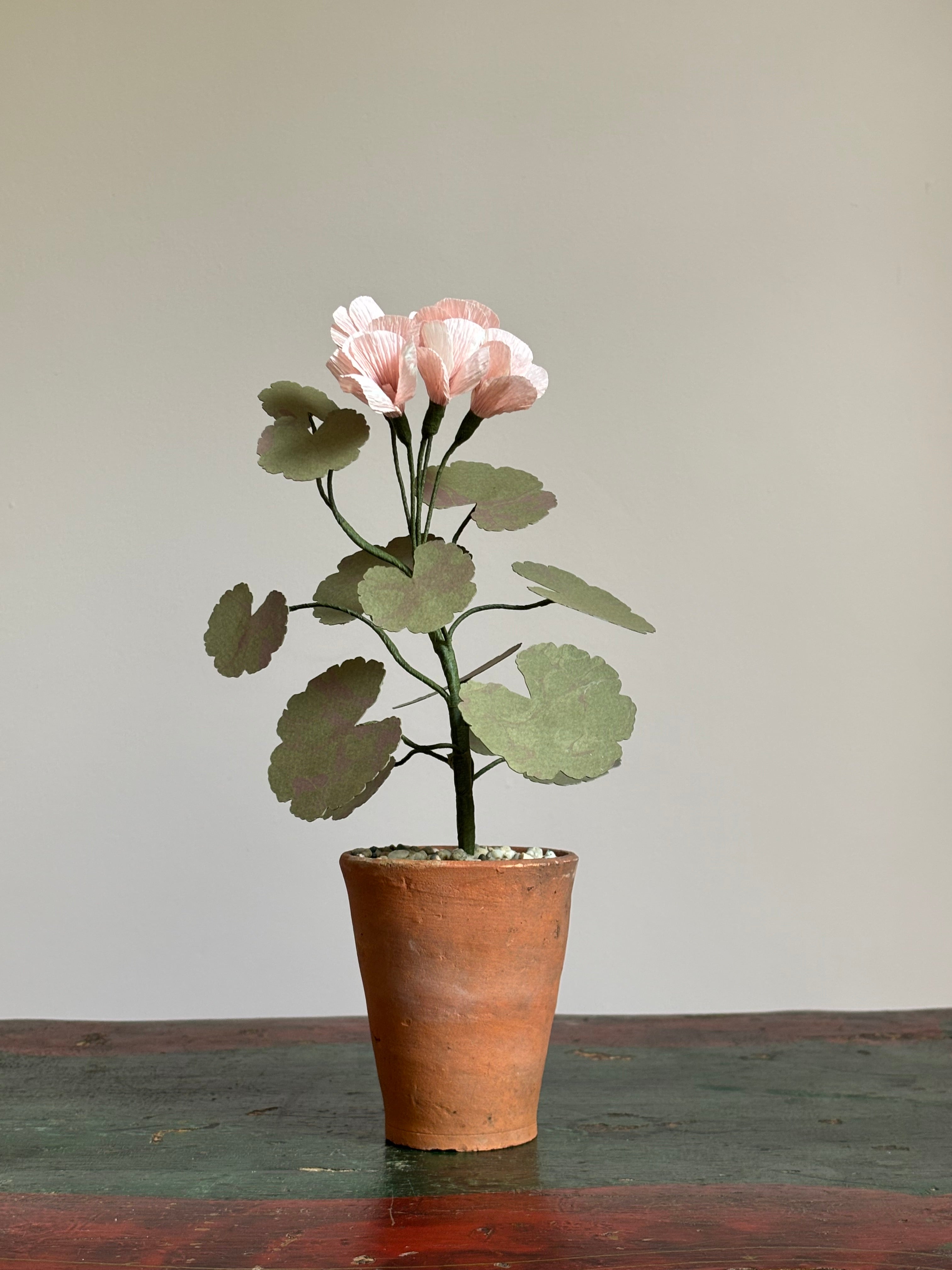 Paper Geranium