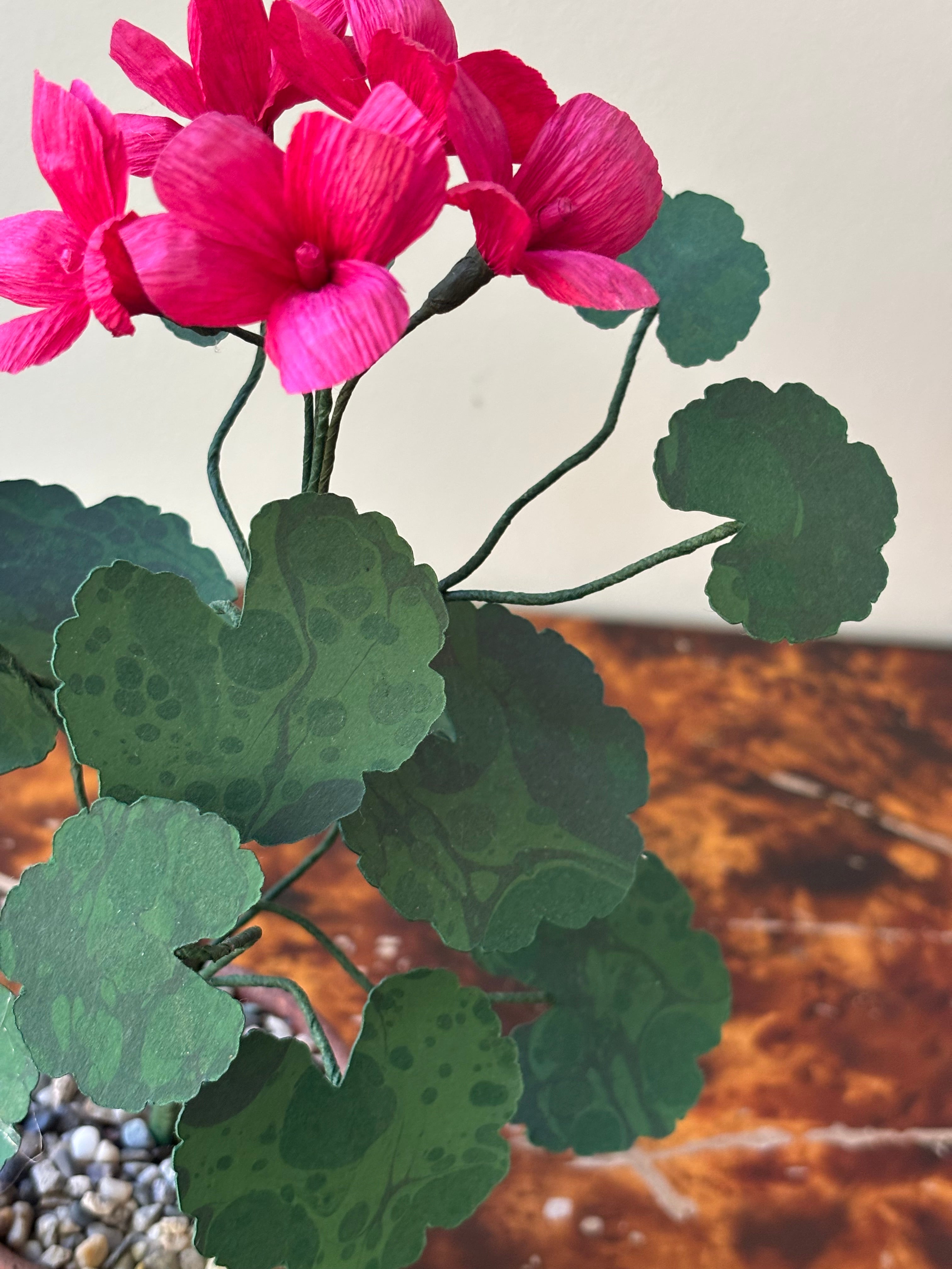 Paper Geranium
