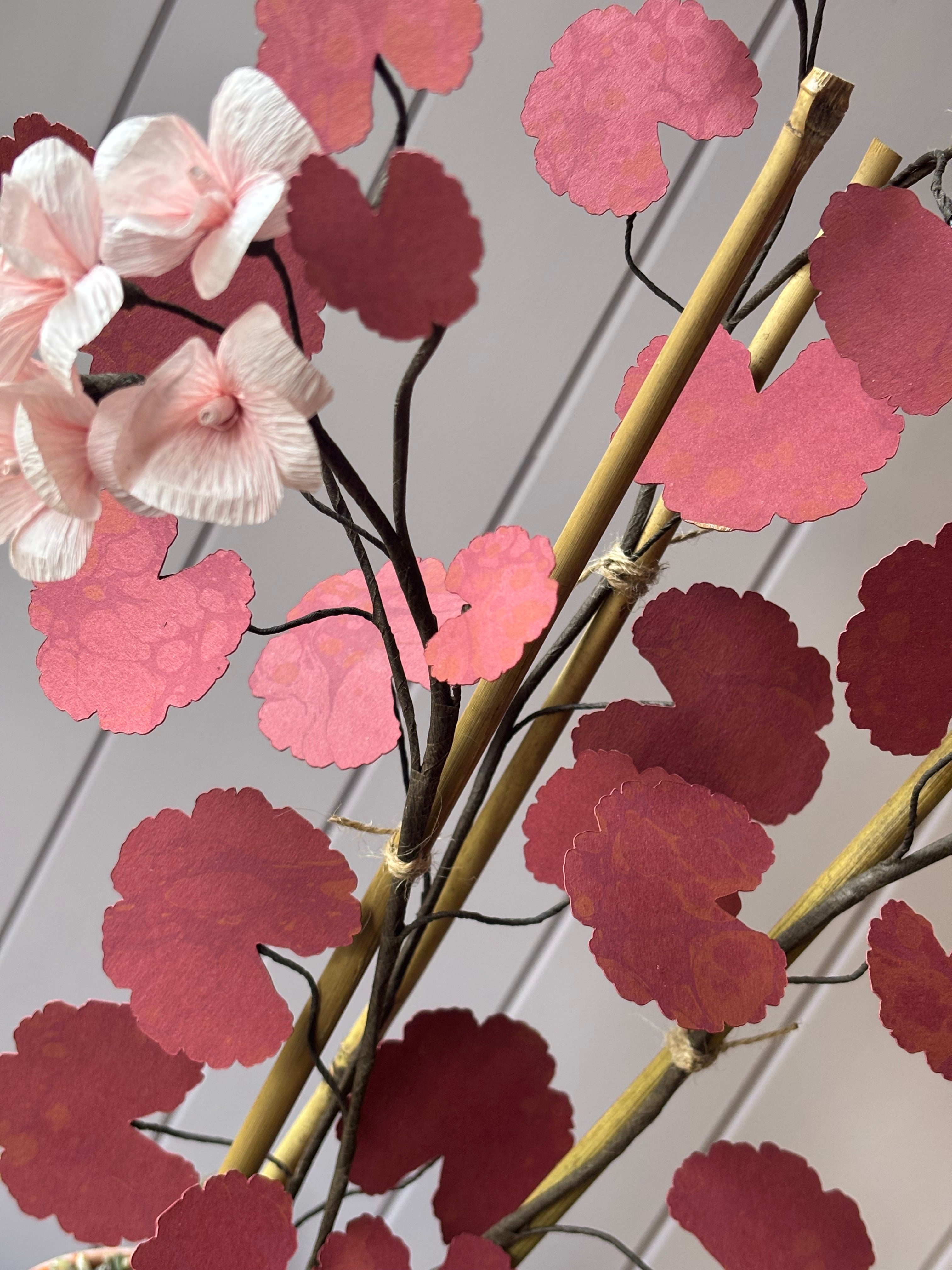 Paper geranium