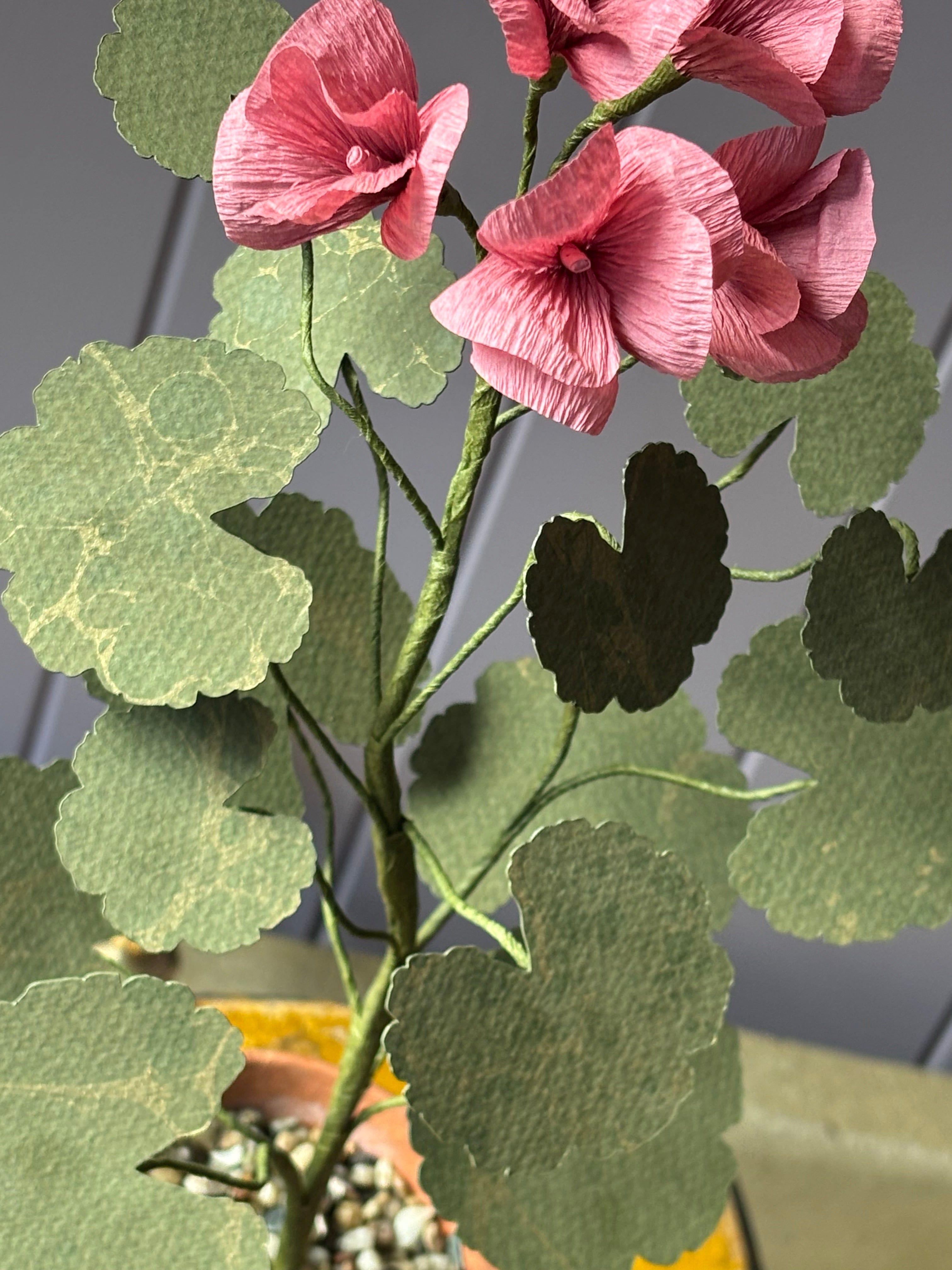 Paper Geranium