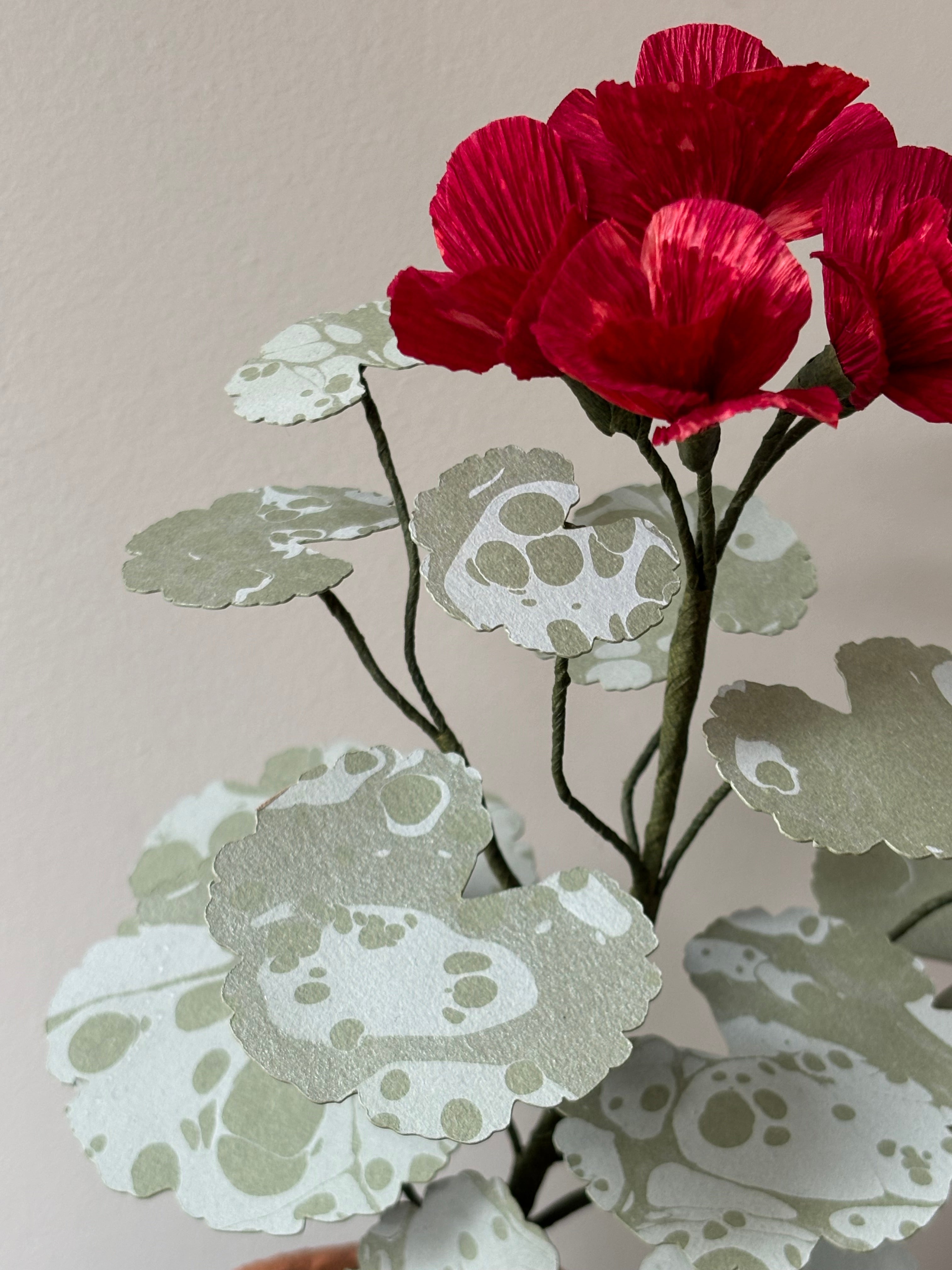 Paper Geranium