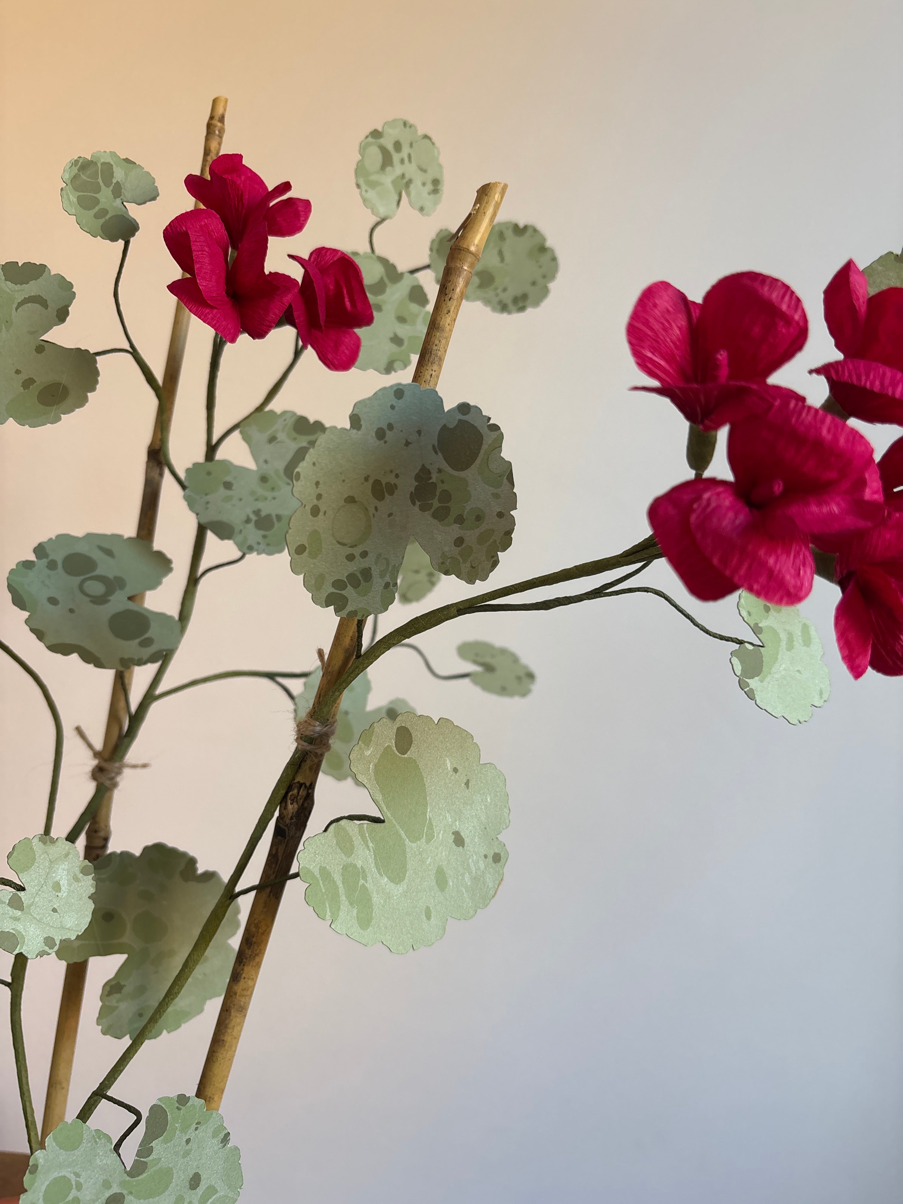 Paper Geranium