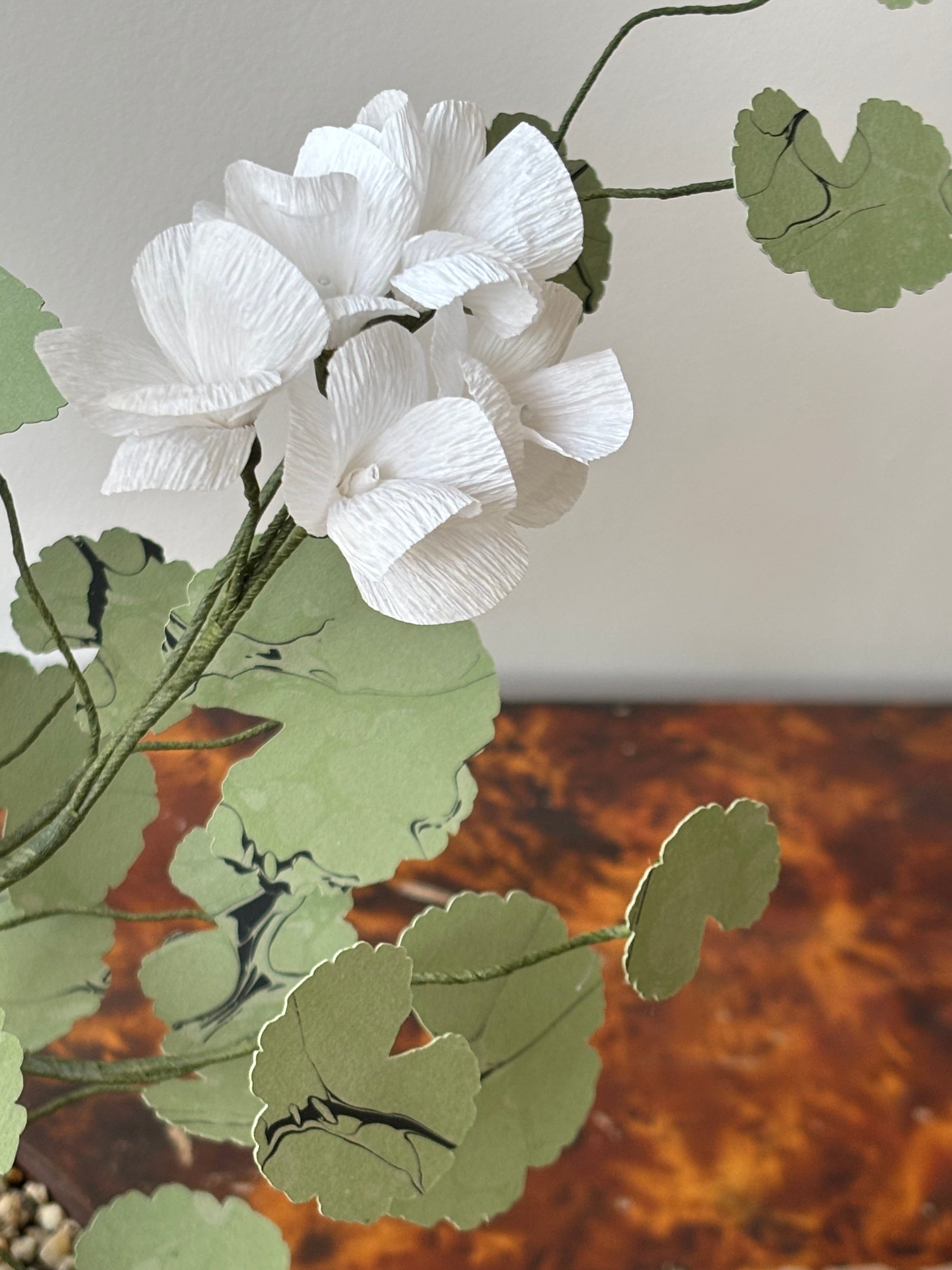 Paper Geranium