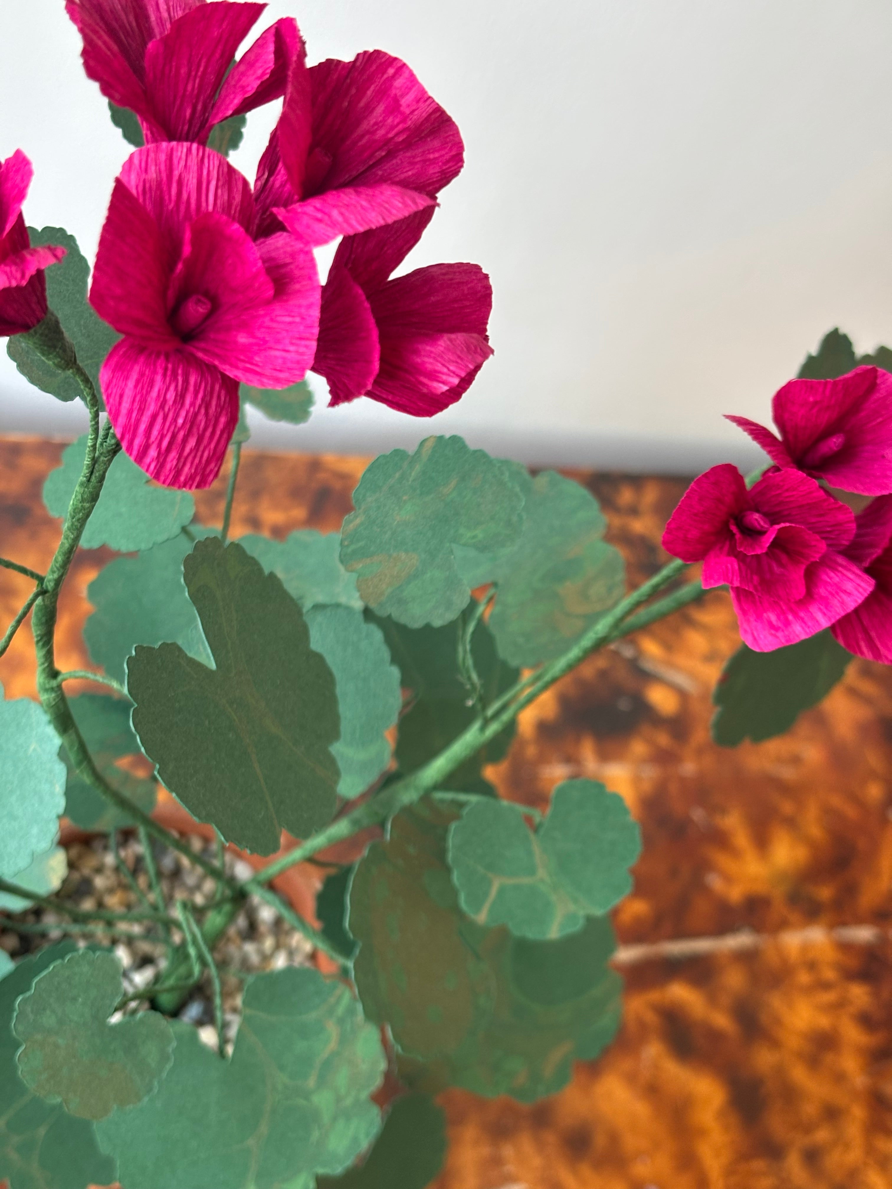 Paper Geranium