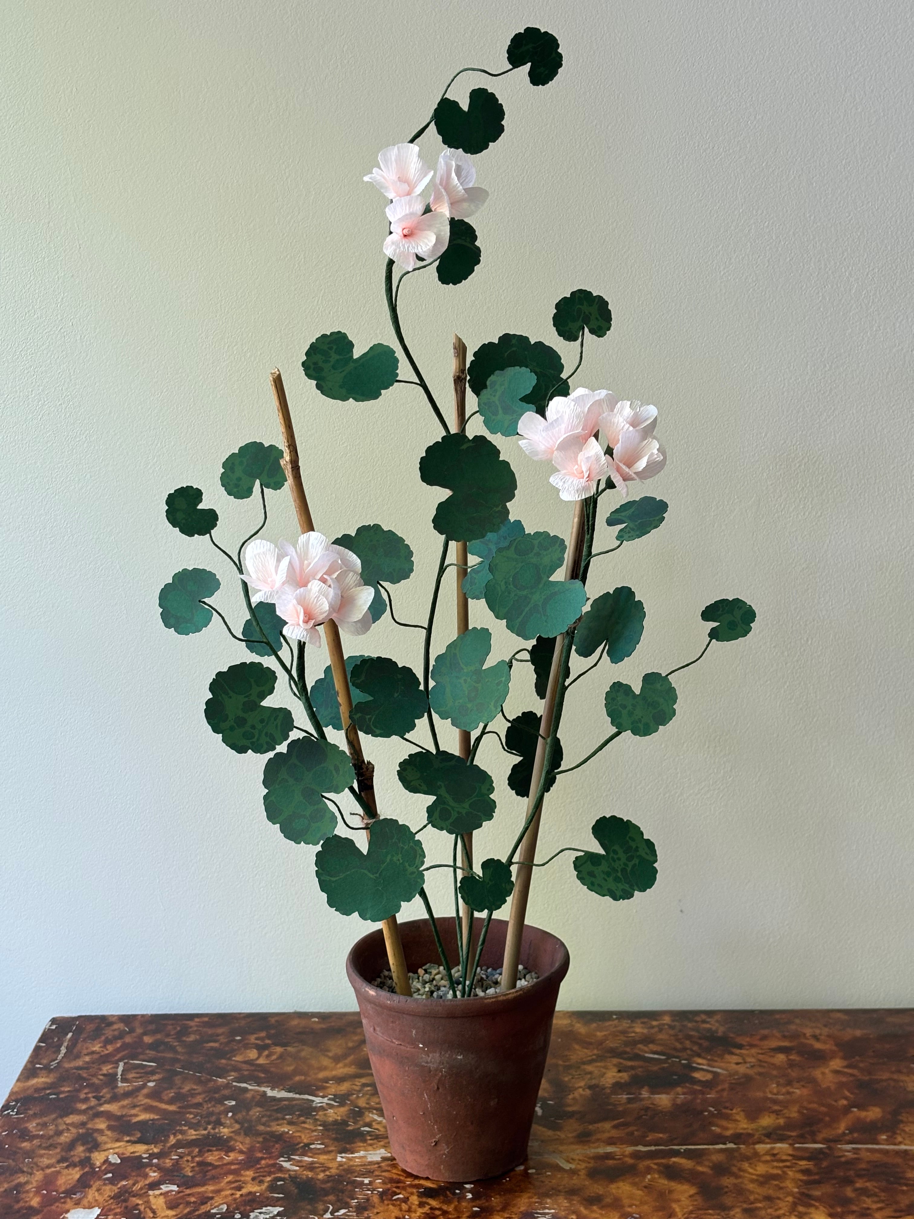 Paper Geranium