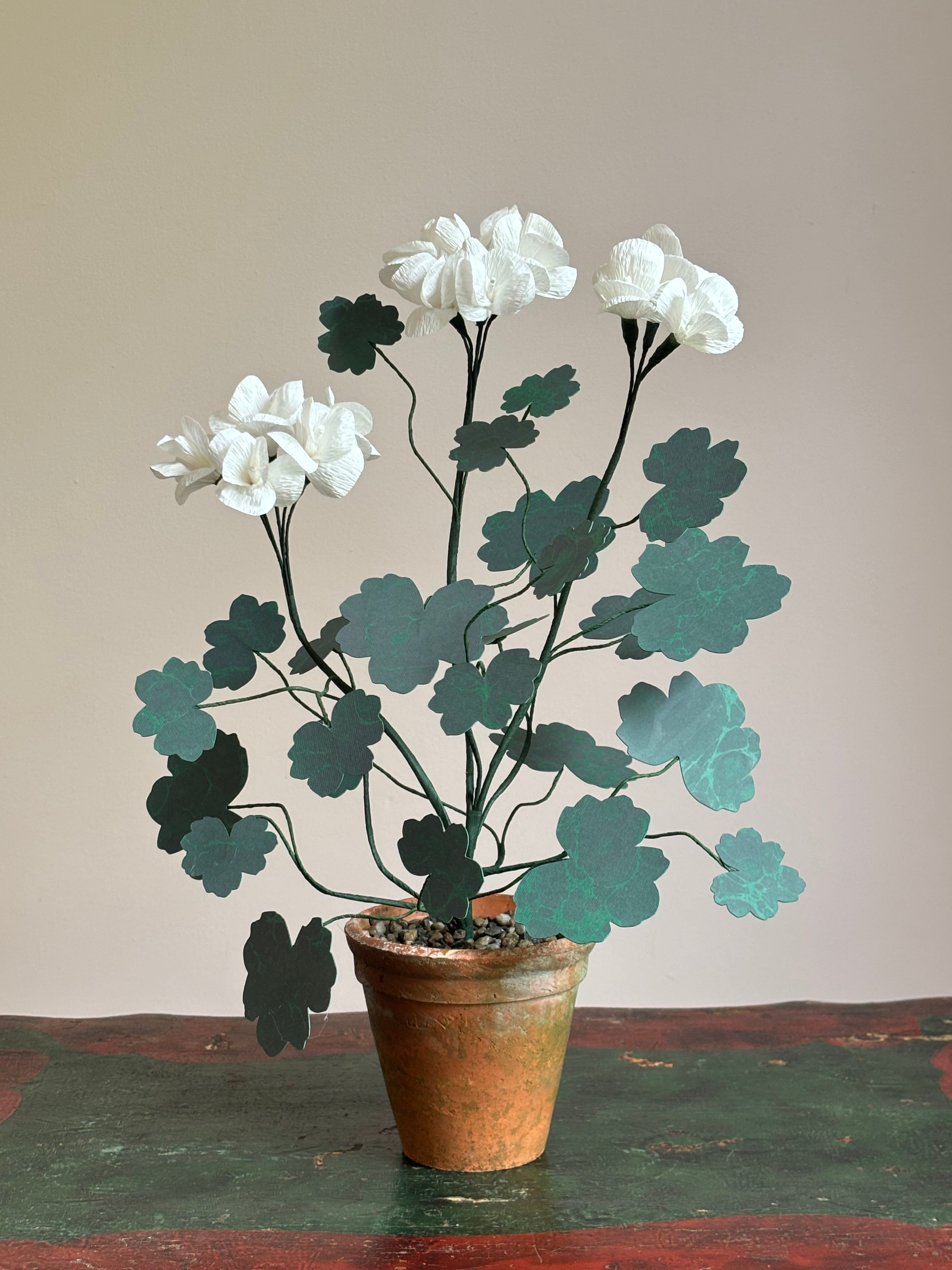 Paper Geranium