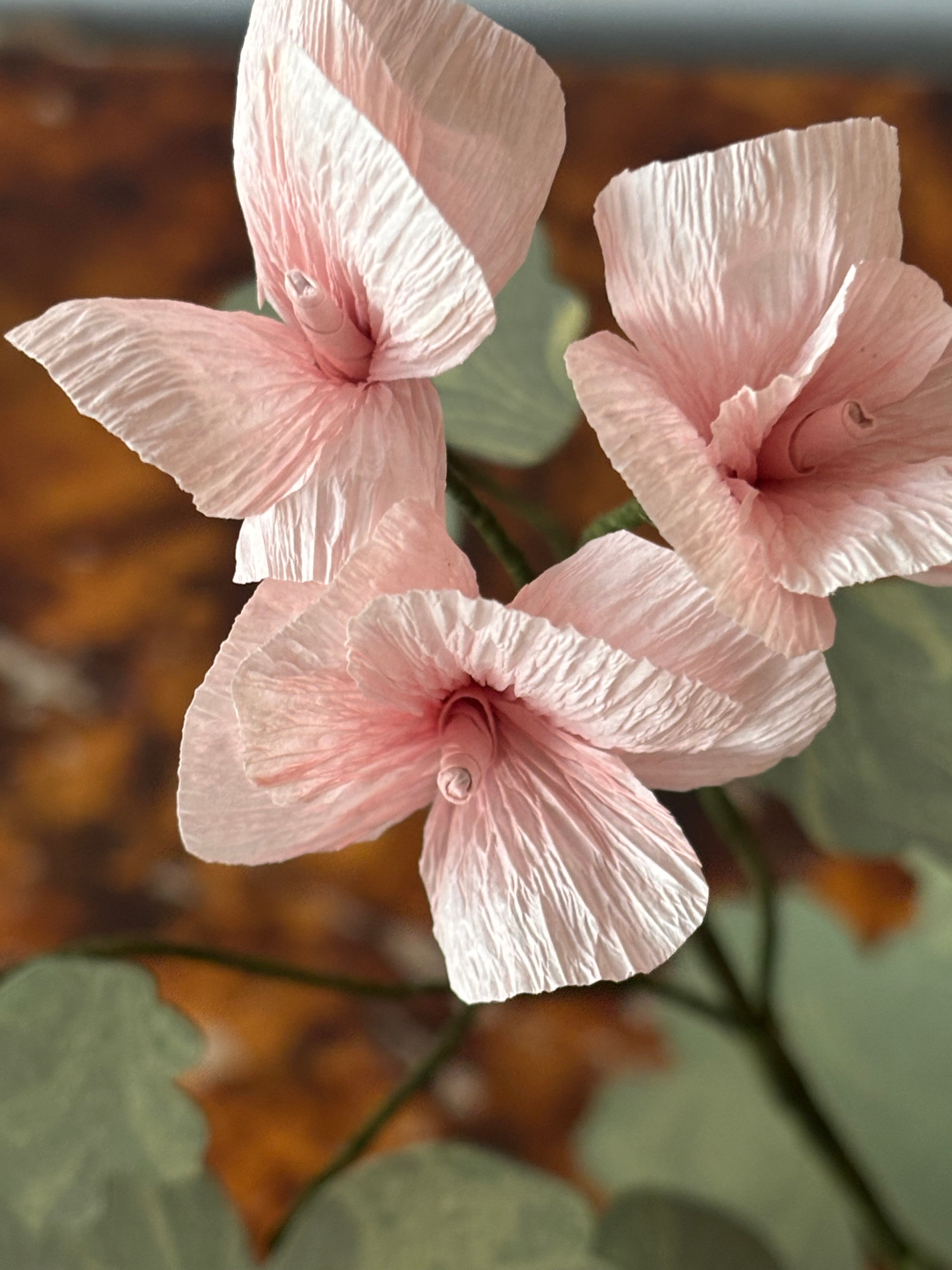 Paper Geranium