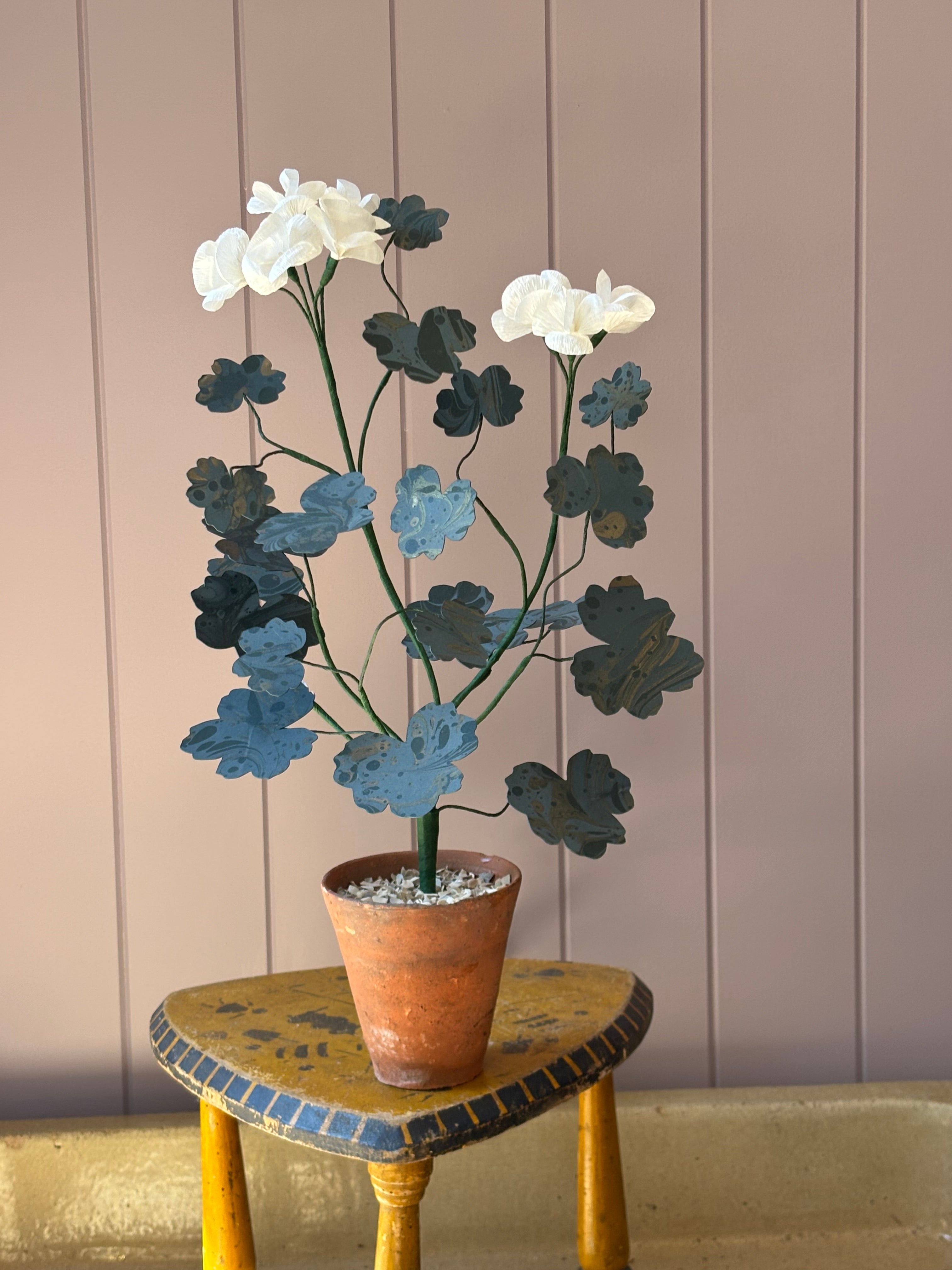 Paper geranium