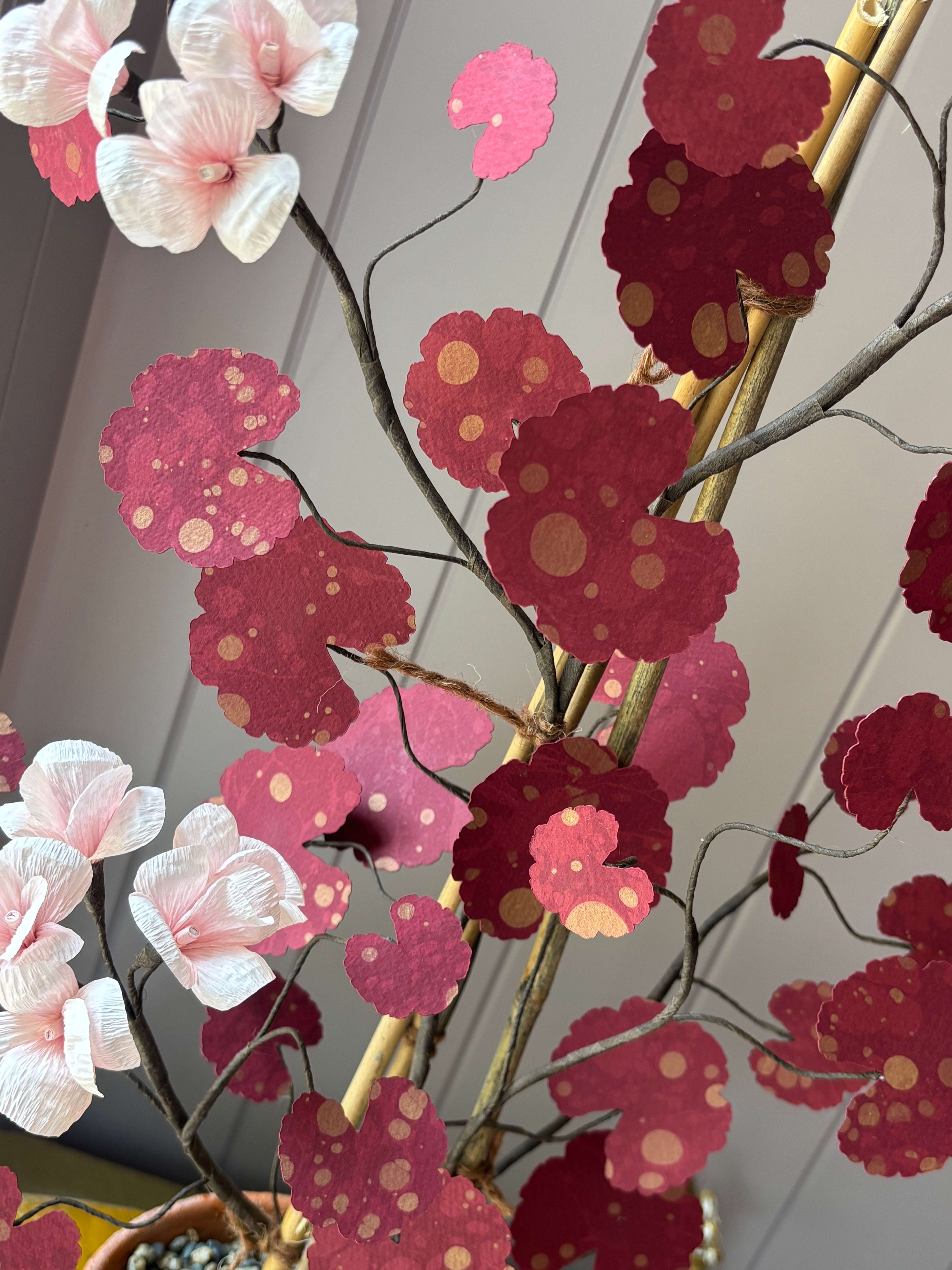 Paper geranium