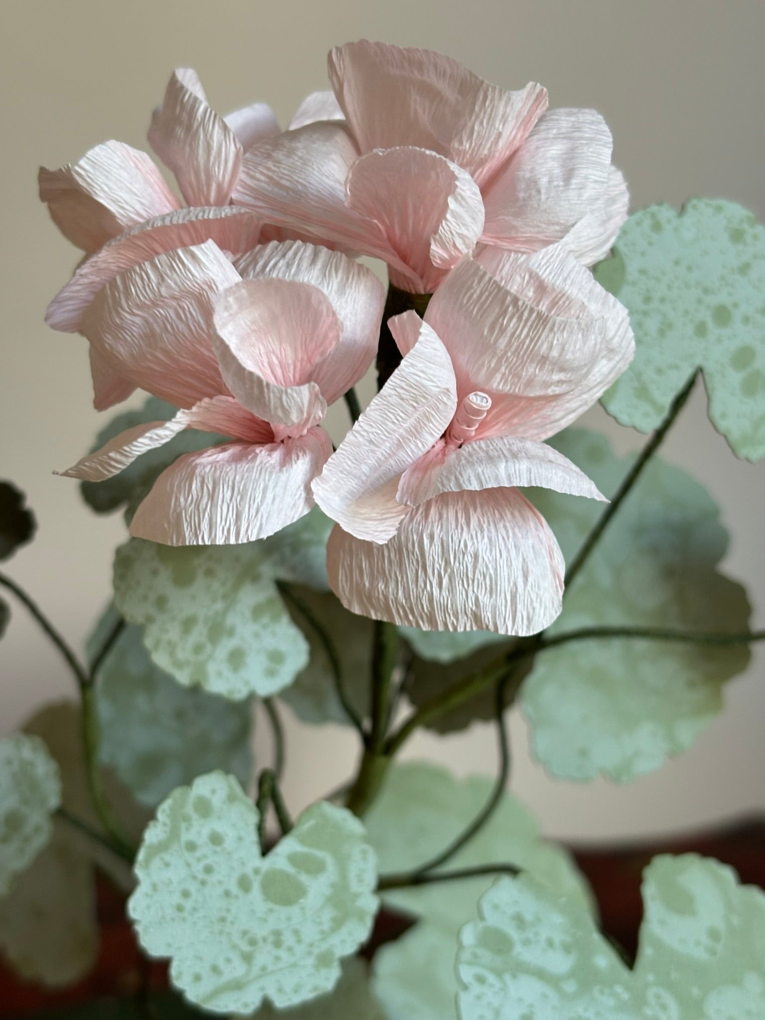 Paper Geranium