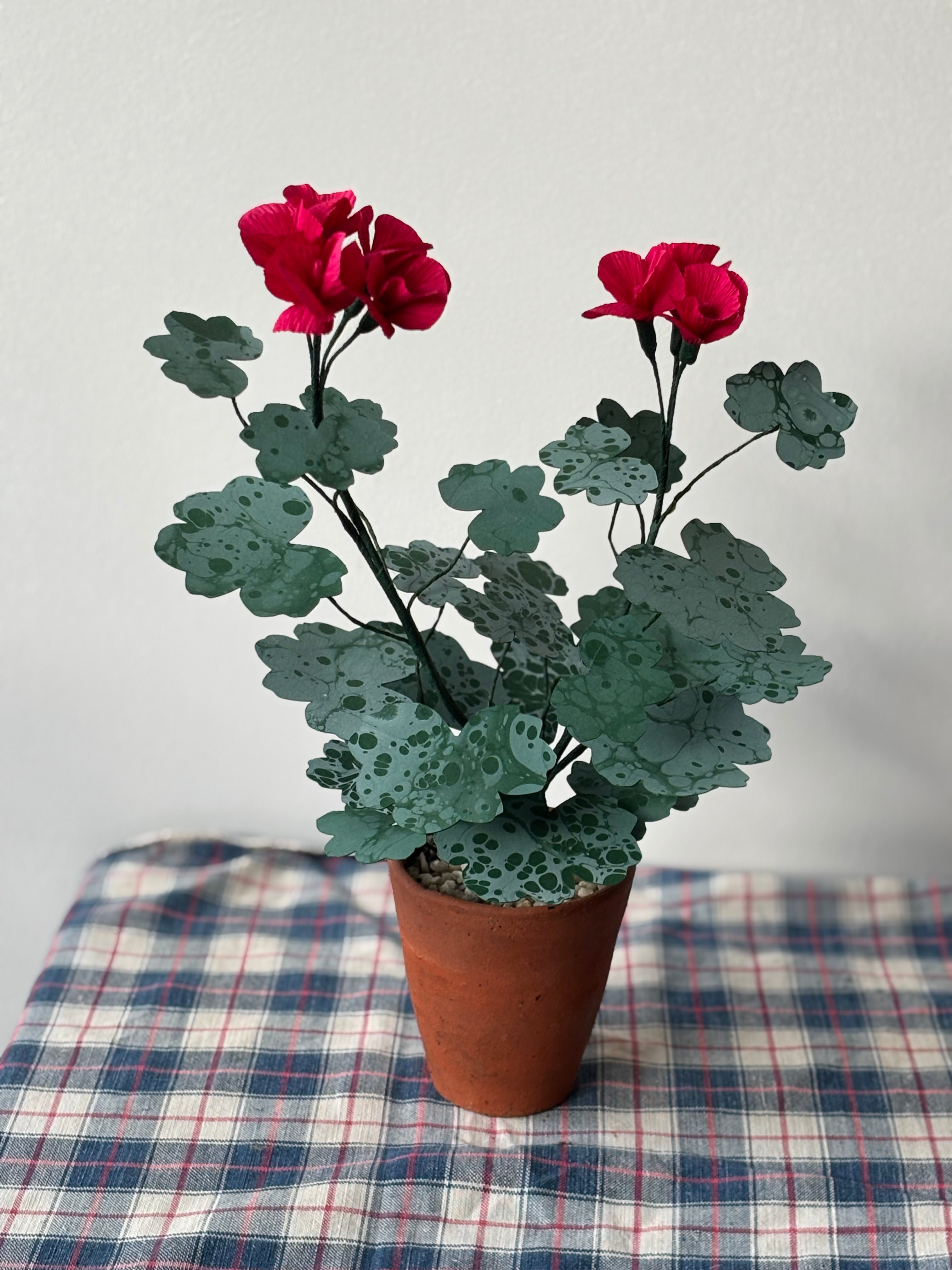 Paper Geranium