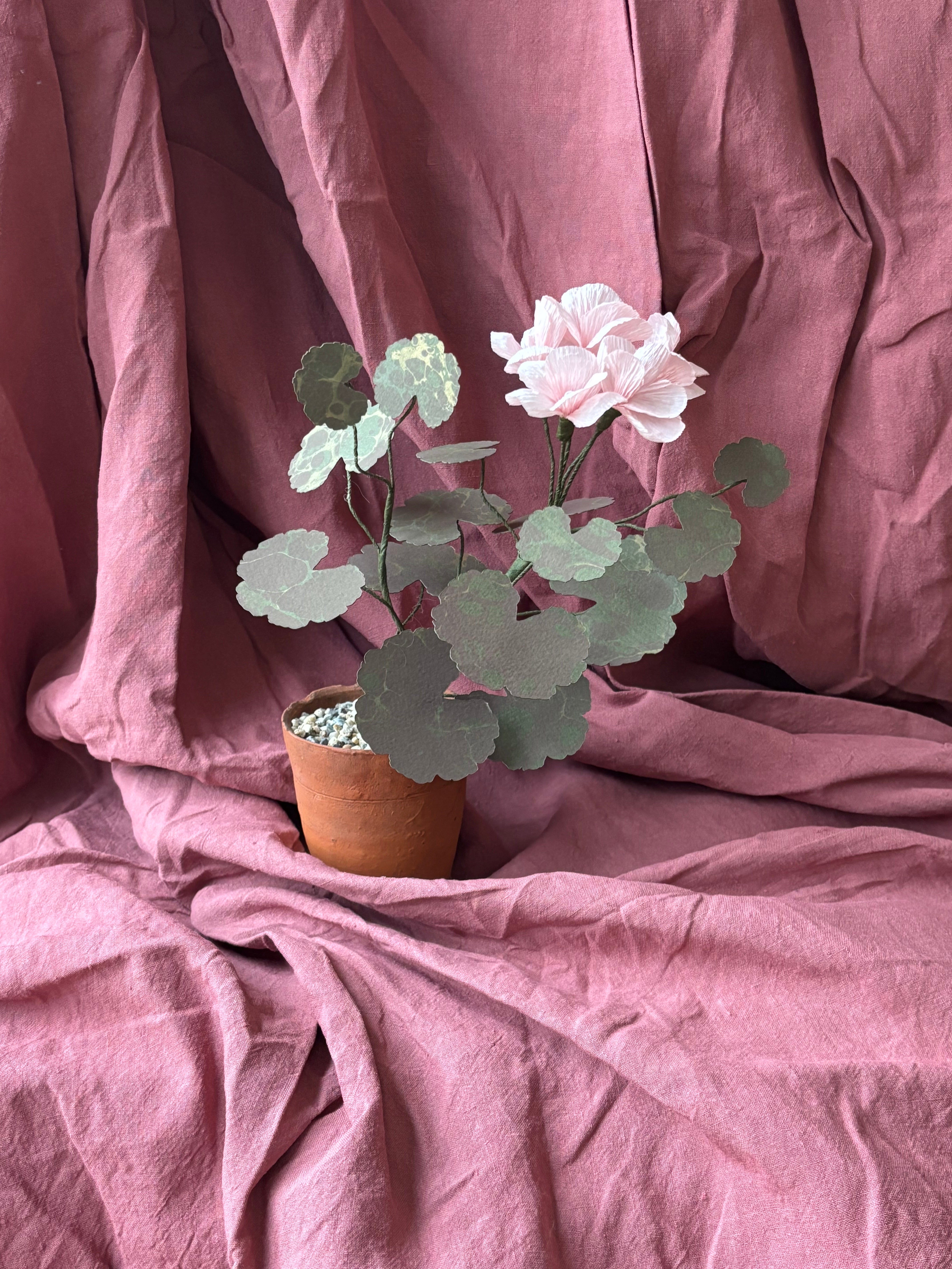 Paper Geranium