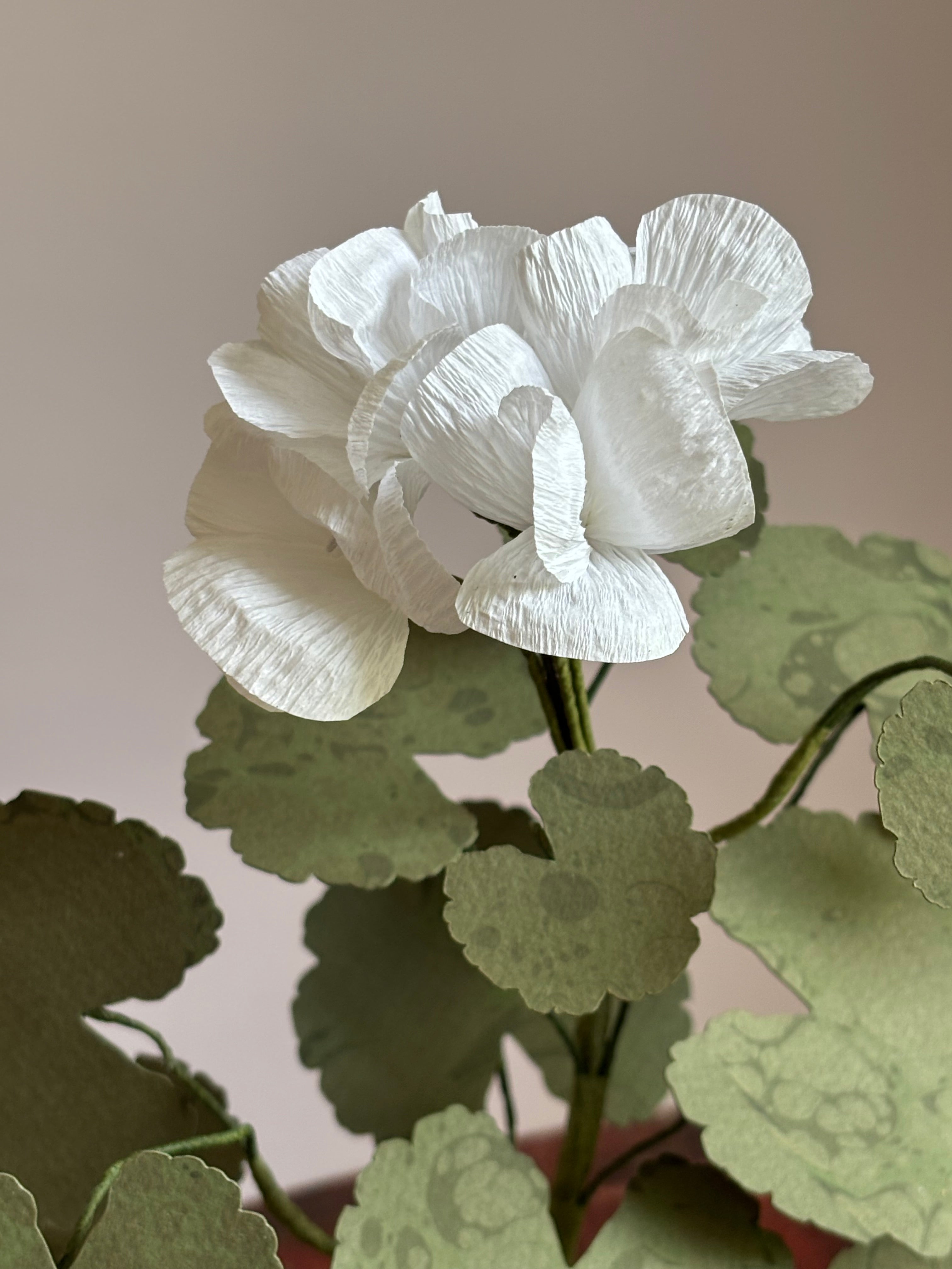 Paper Geraniums