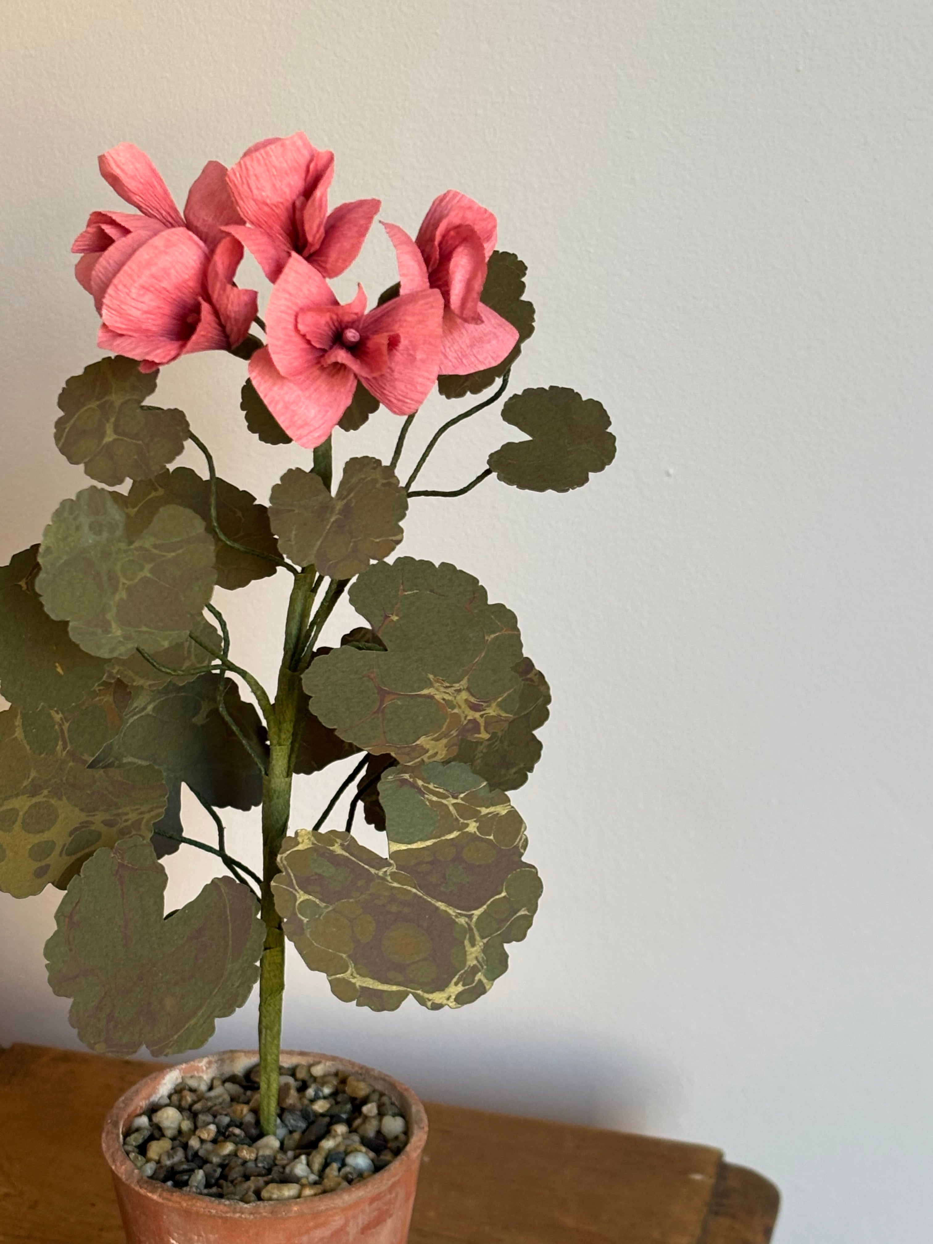 Paper Geranium