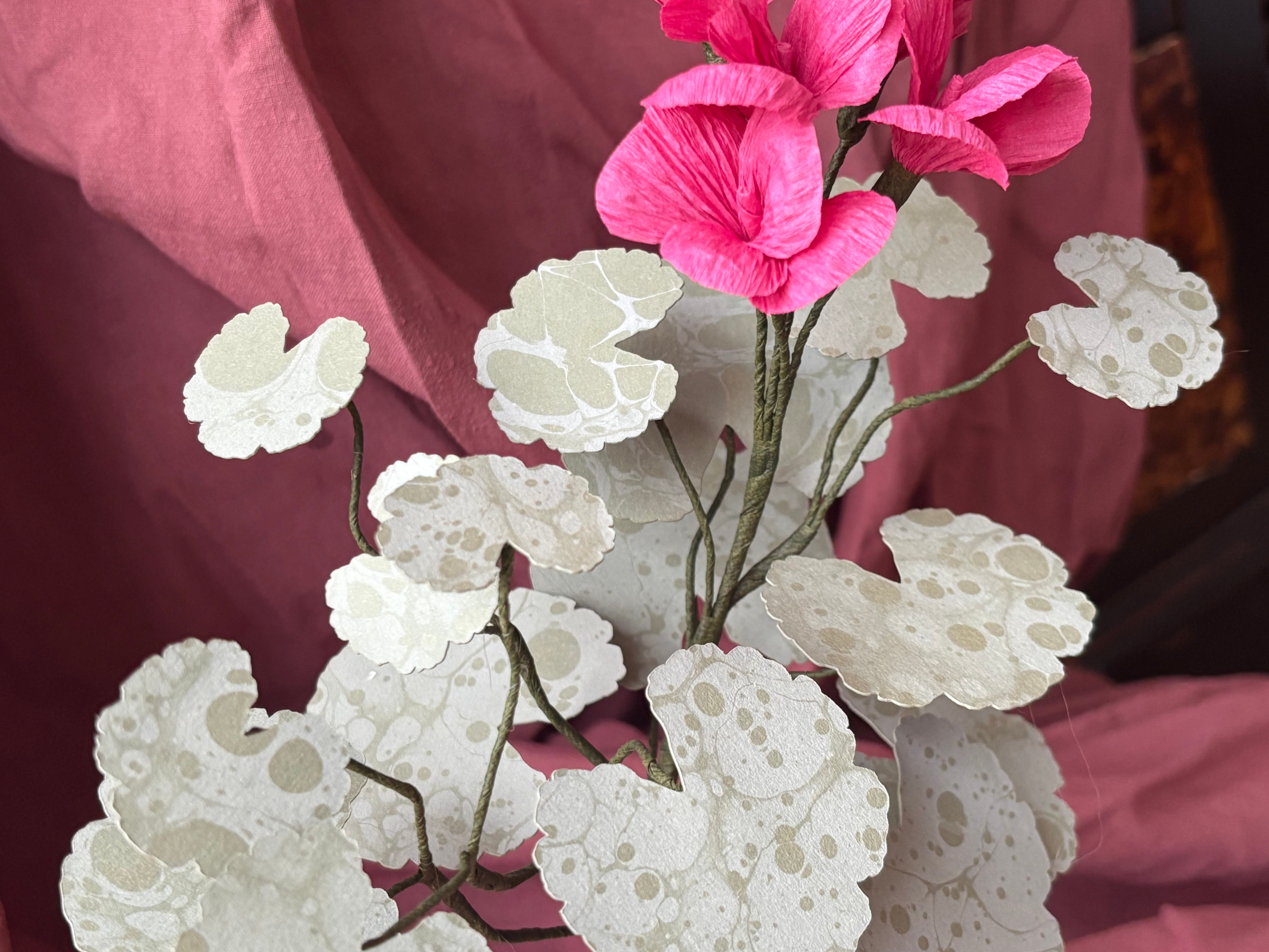 Paper Geranium