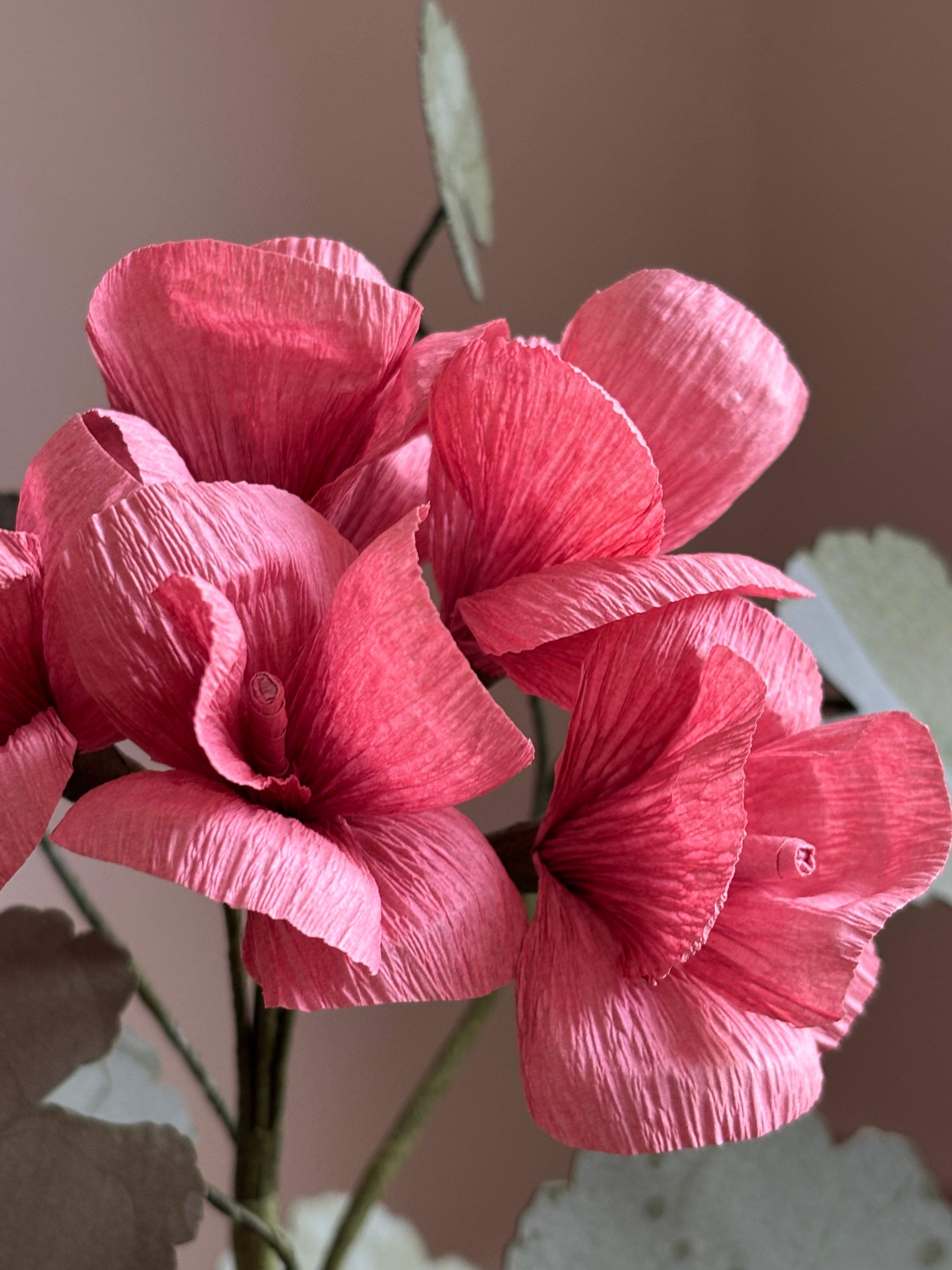 Paper Geraniums
