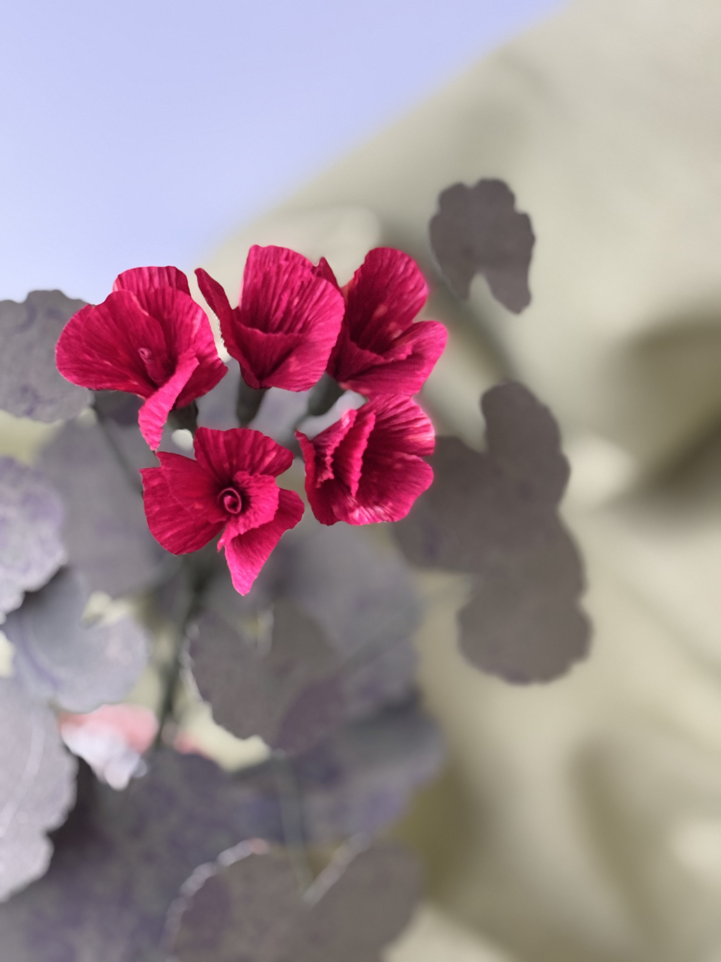 Paper Geranium