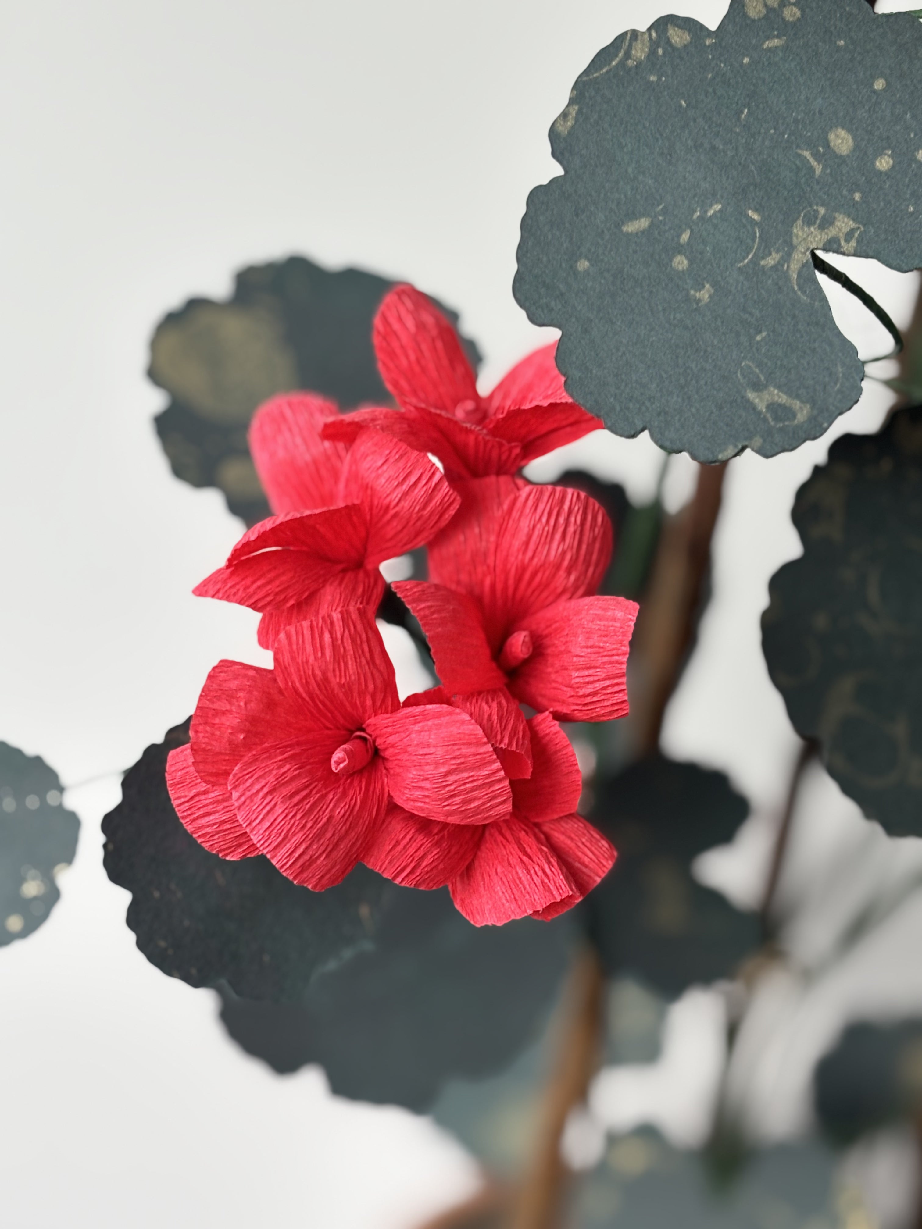 Paper Geranium