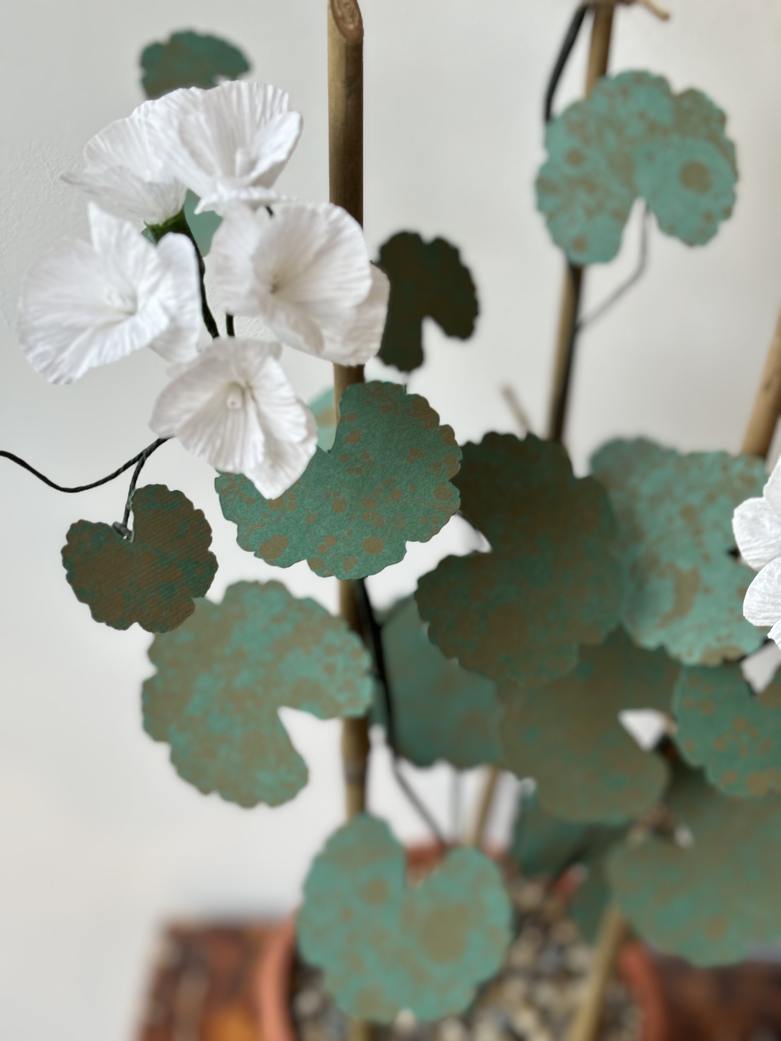 Paper Geranium