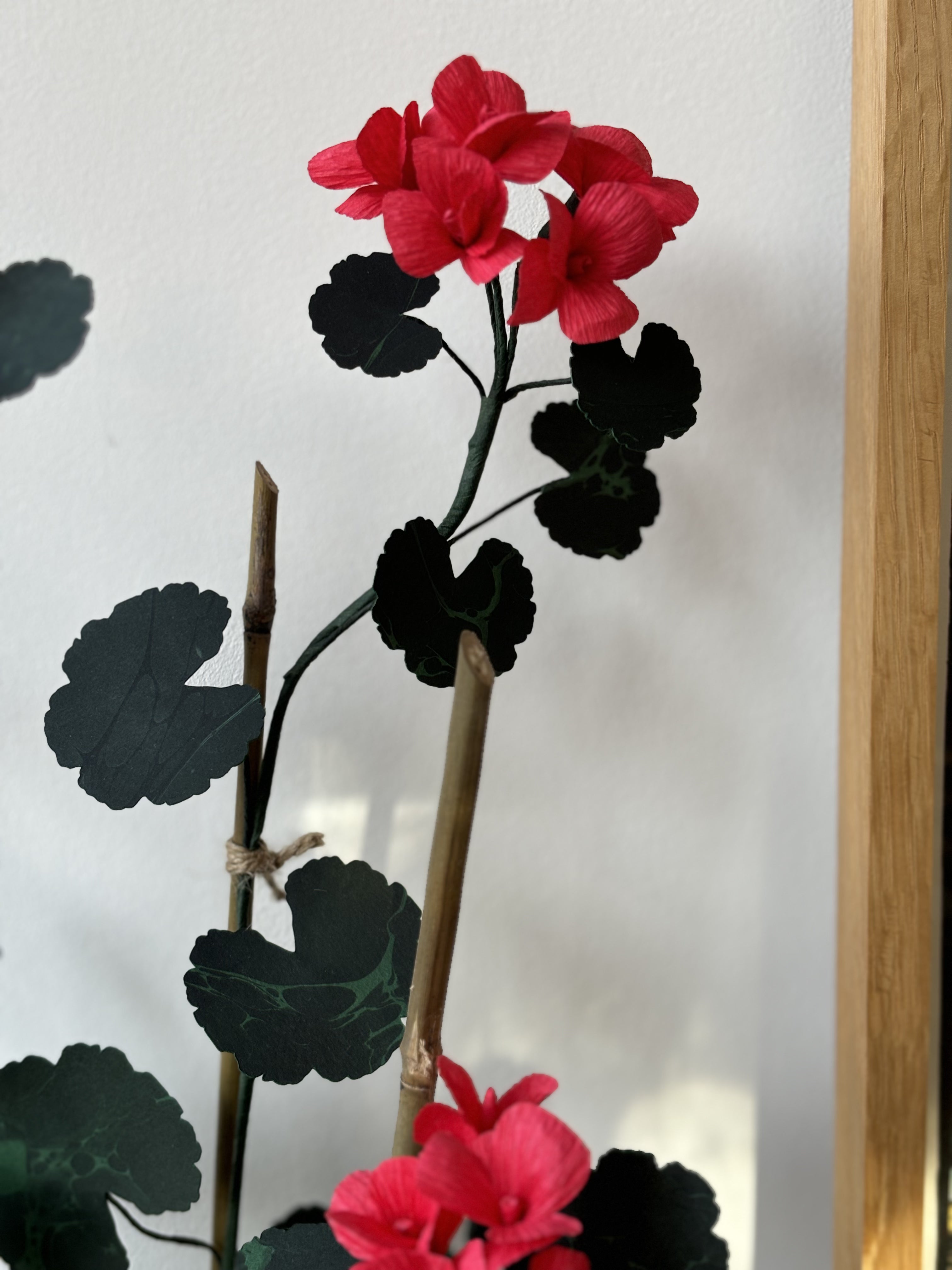 Paper Geranium