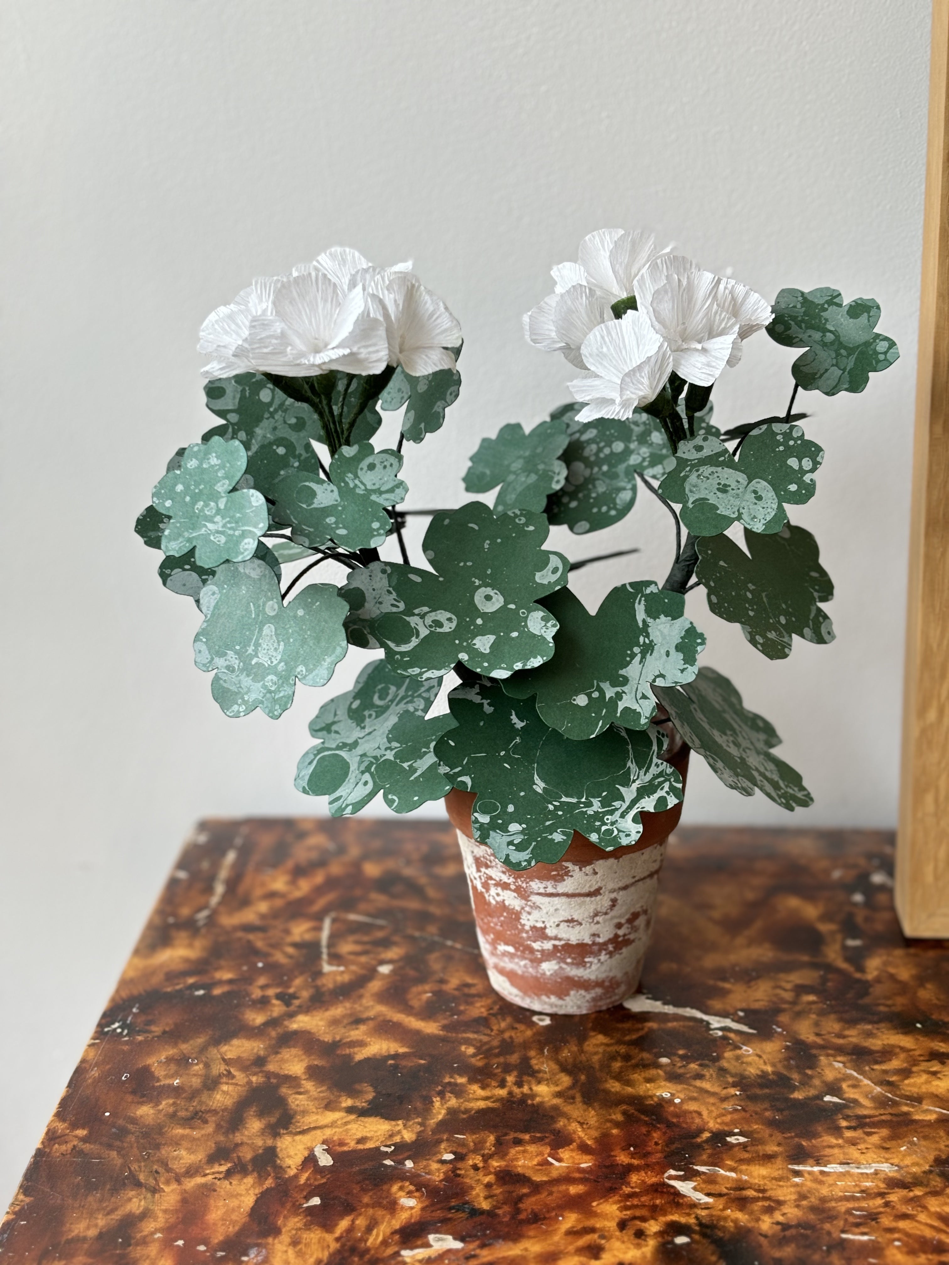 Paper Geranium